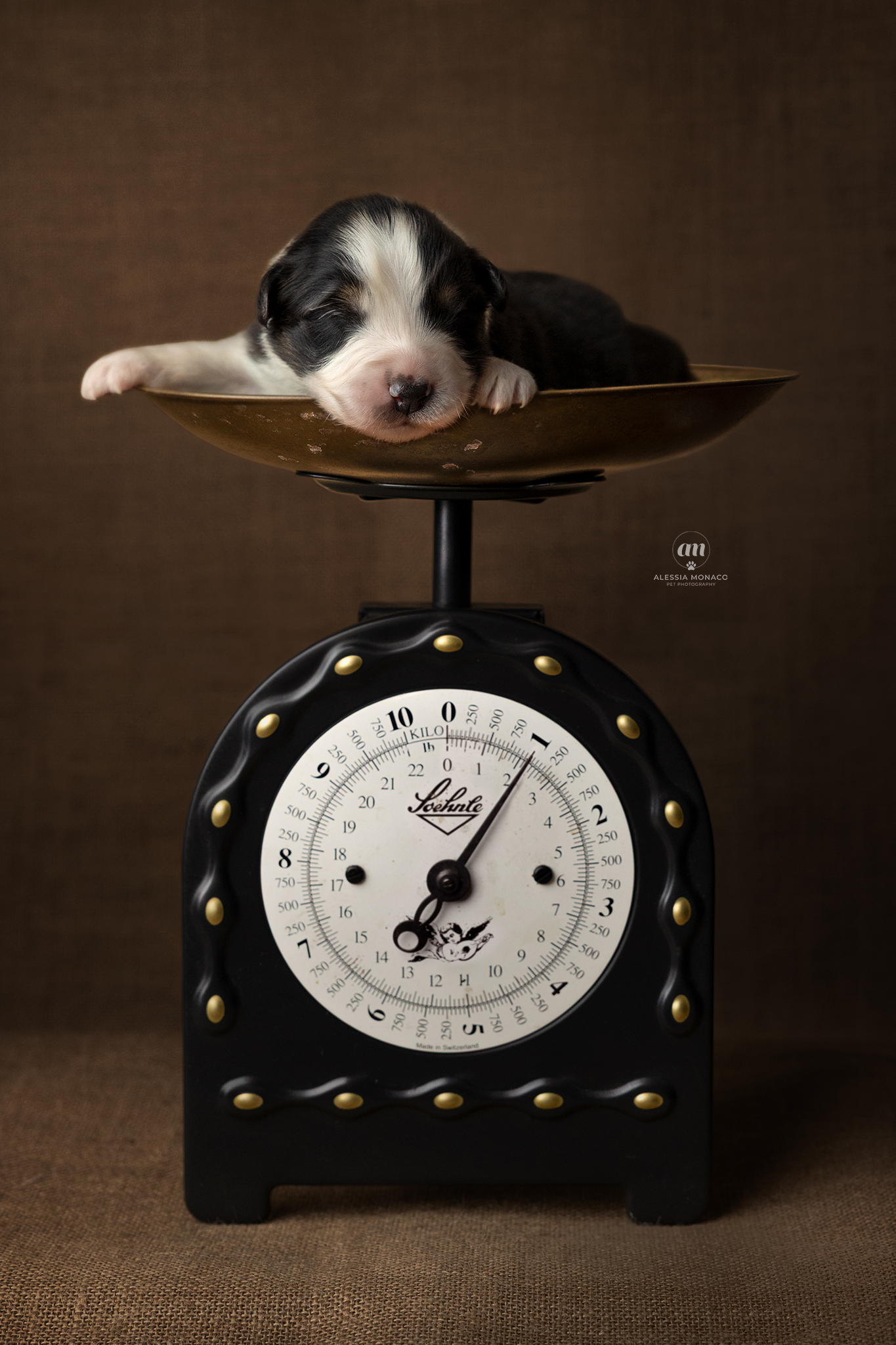 Newborn