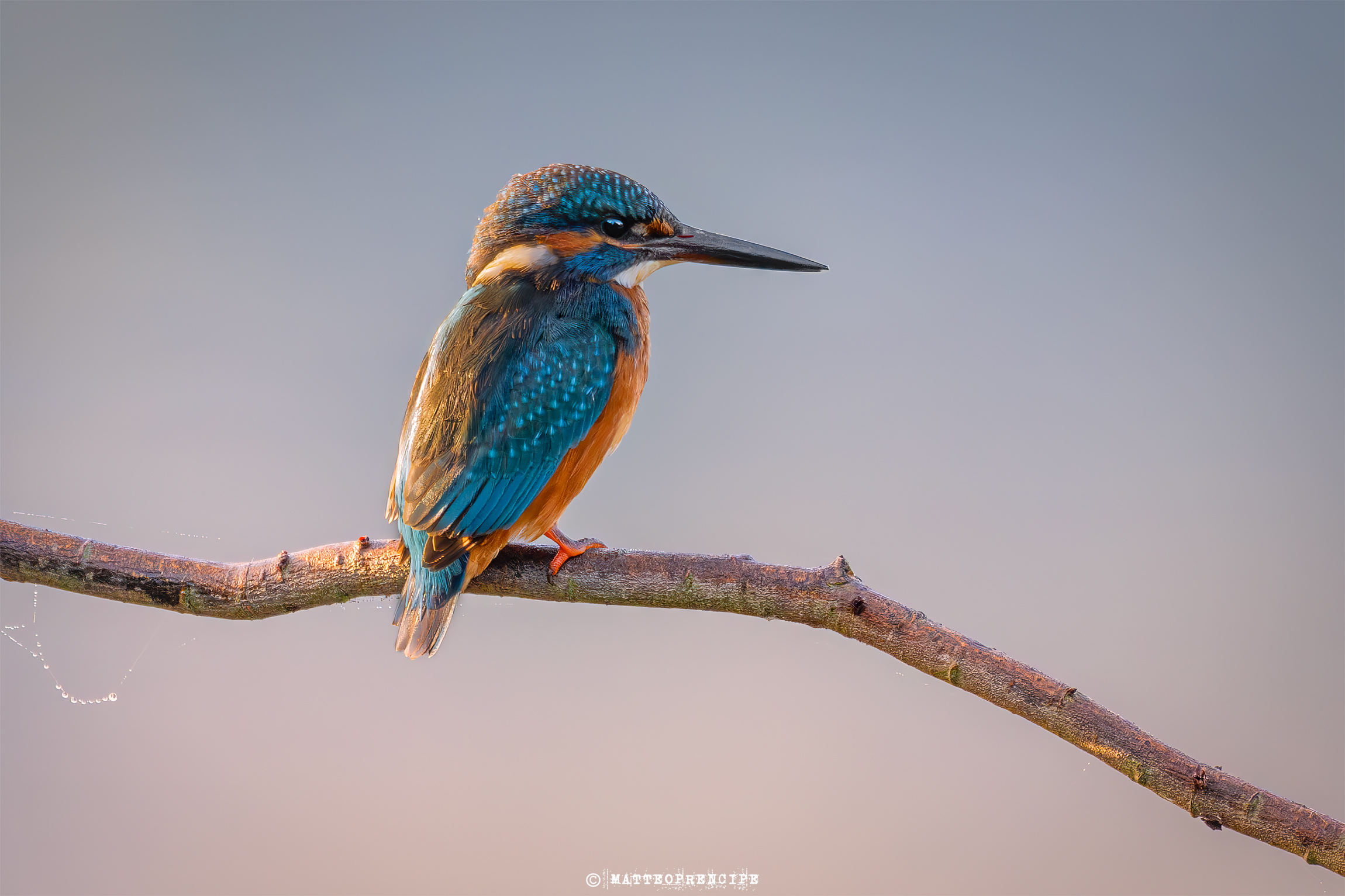 At dusk
