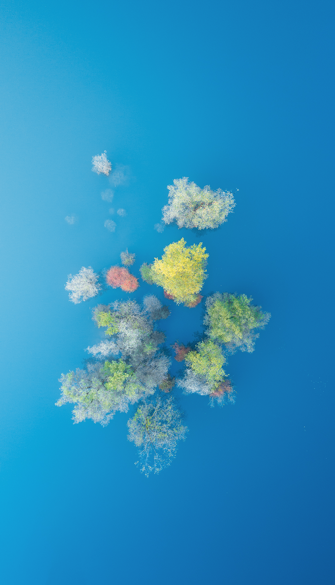 Trees Island