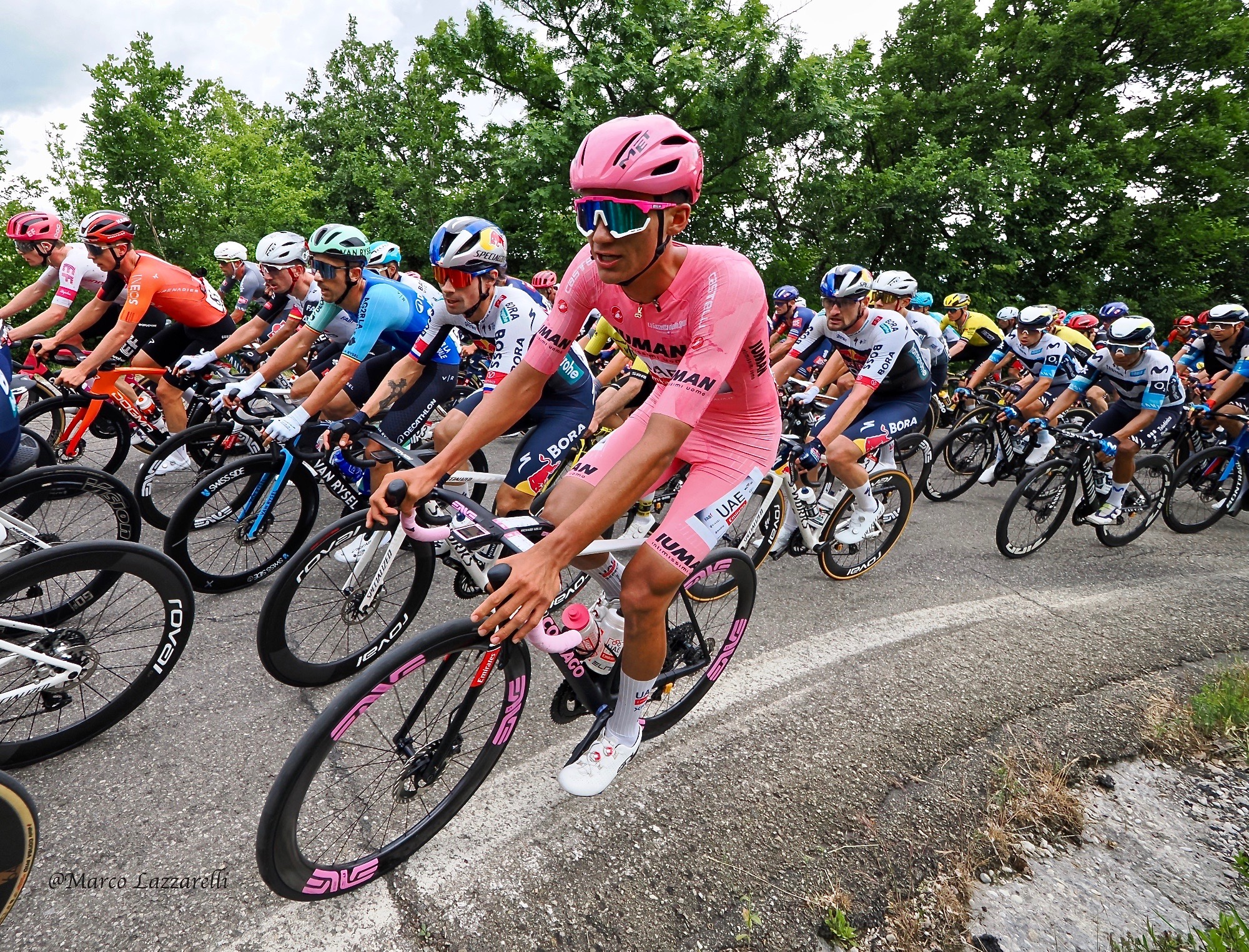 Giro D'Italia; Del Toro, Roglic.