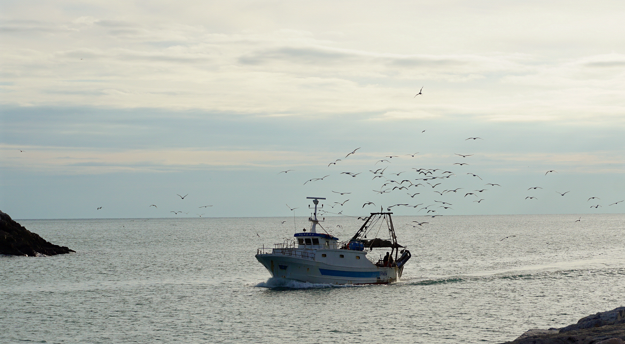 Arrivano i Nostri!!! (Amici)