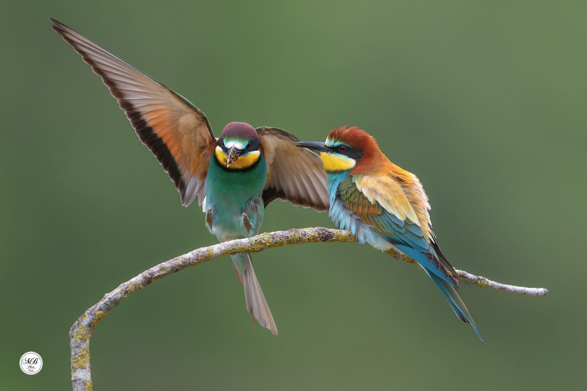 Landing...