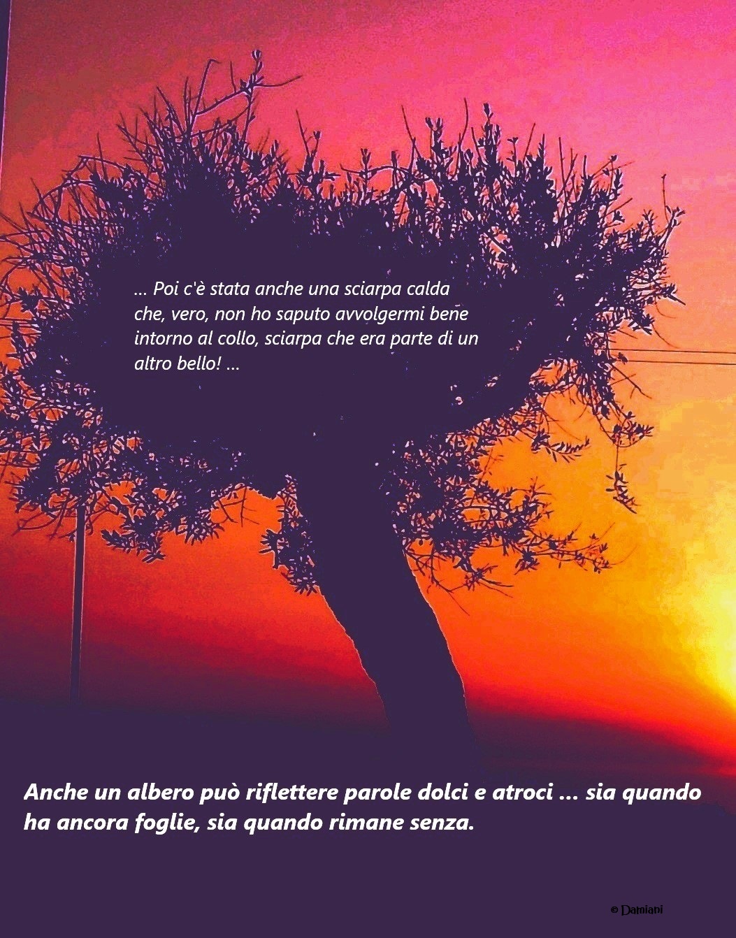 L'Albero
