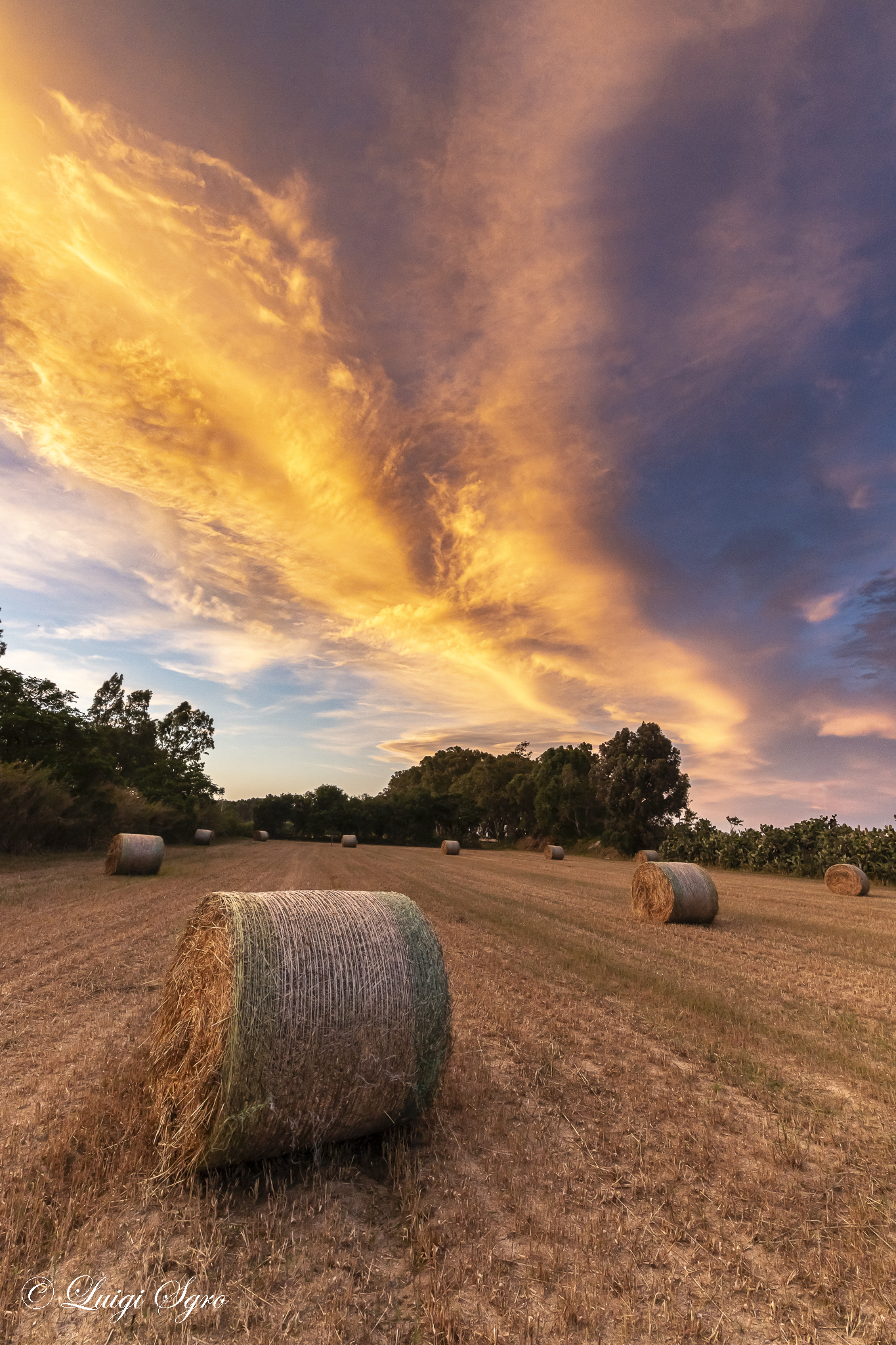 Bales at sunset
