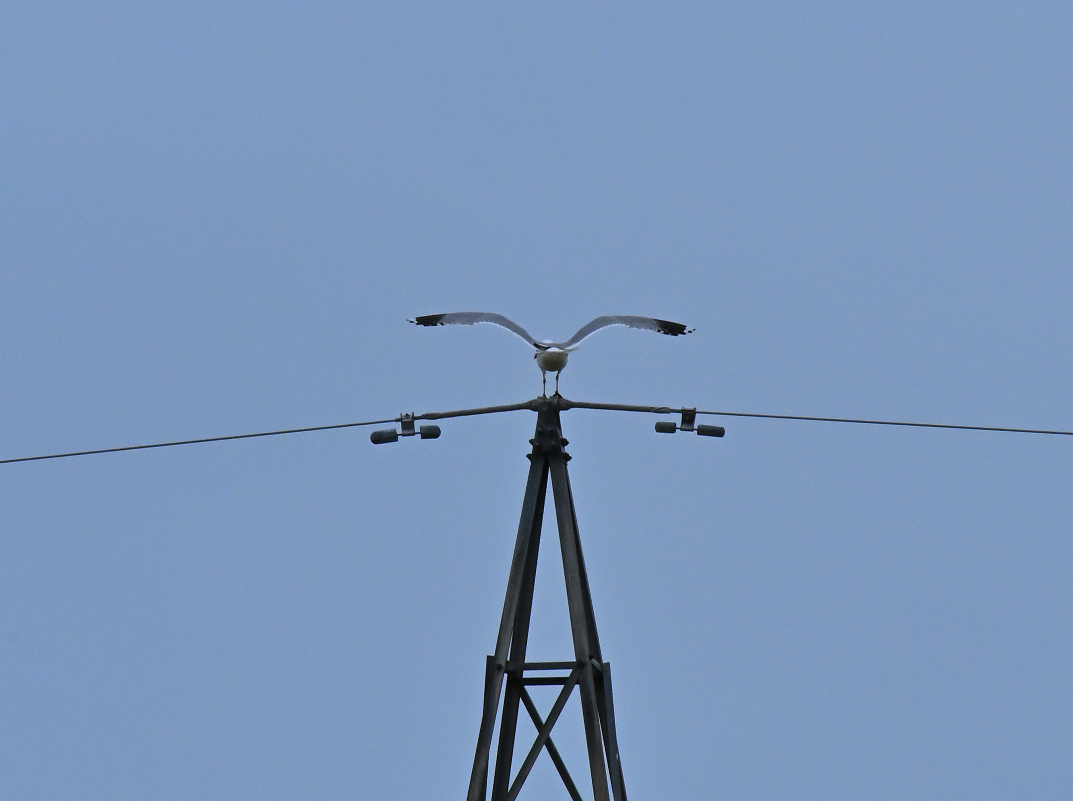 Untitled Photo