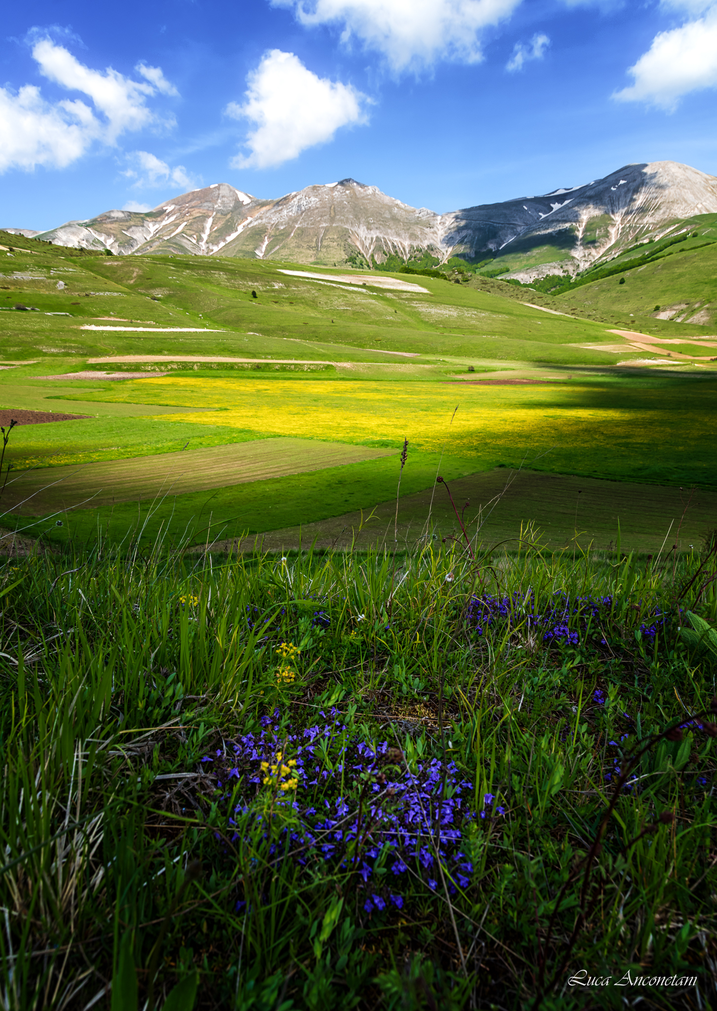 primavera a Castelluccio
