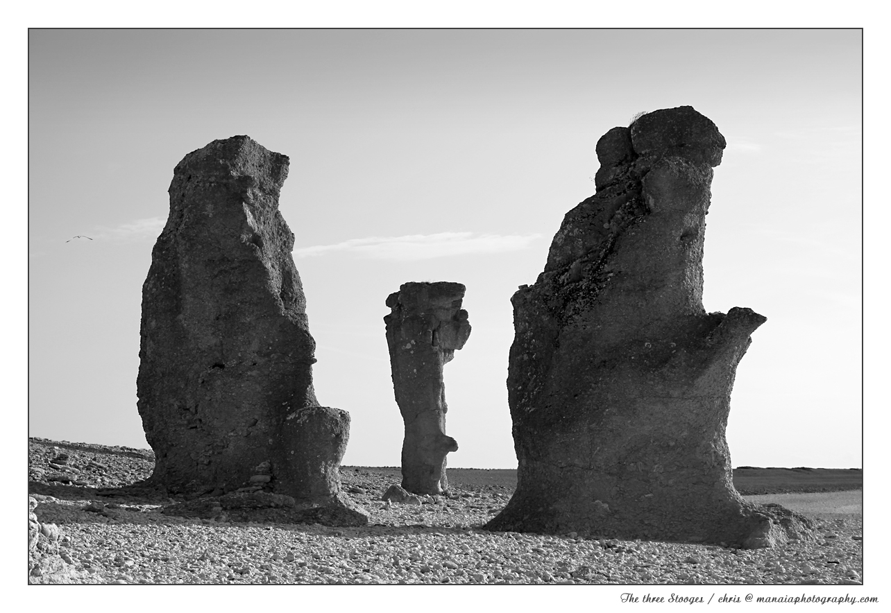 The three Stooges / sheep island on Gotland (Rouks)