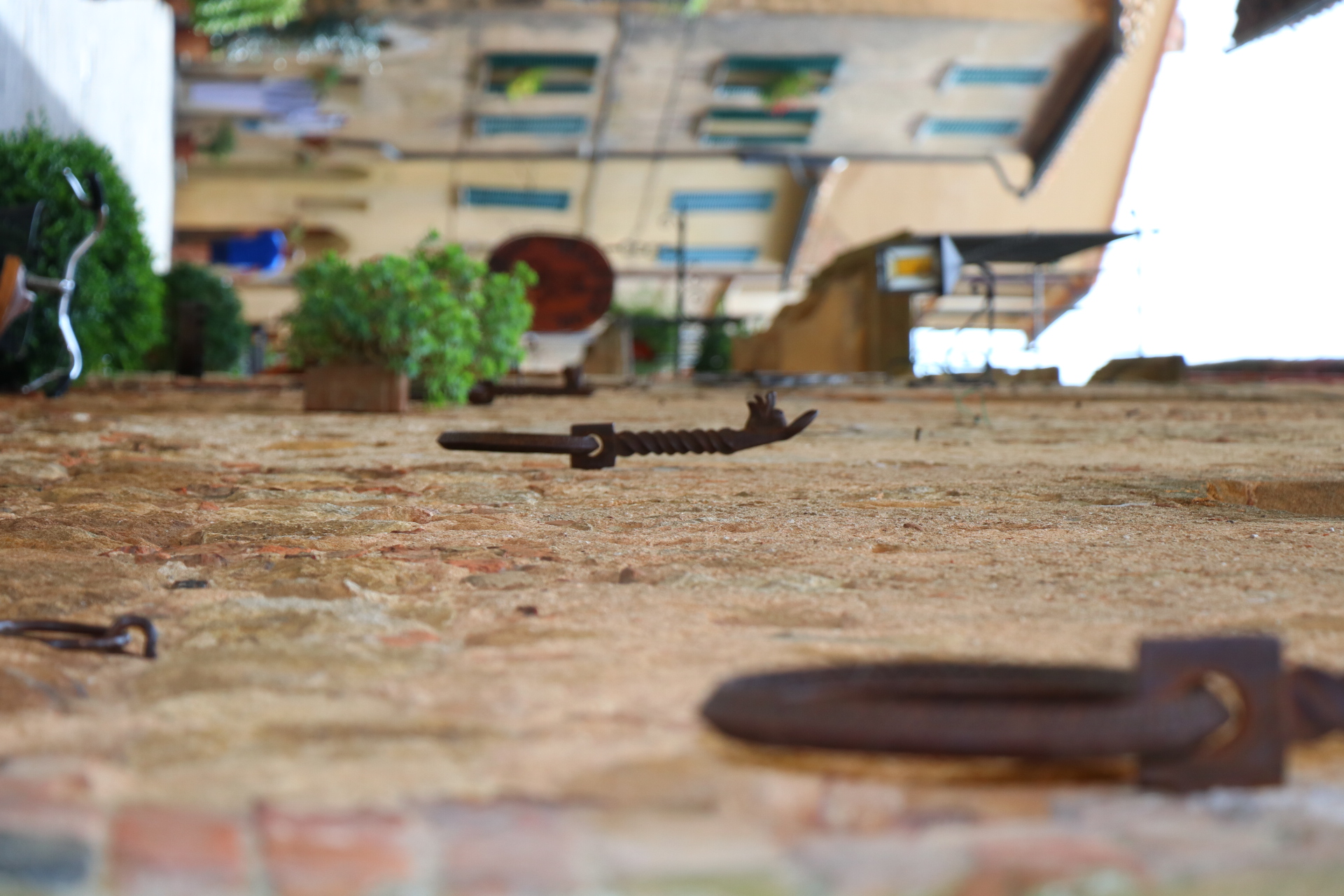 Untitled Photo
