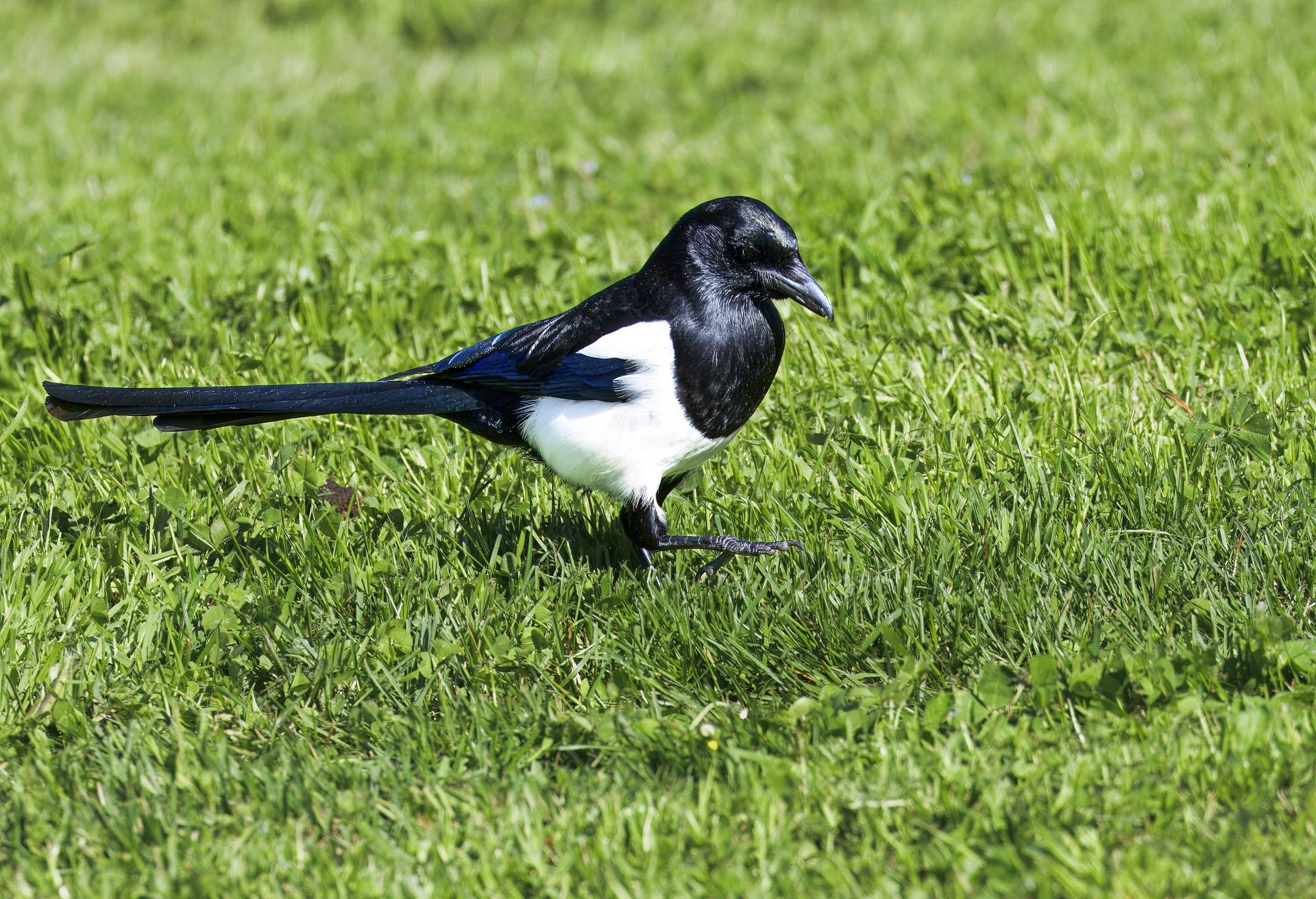 Reflecting on life one step at a time