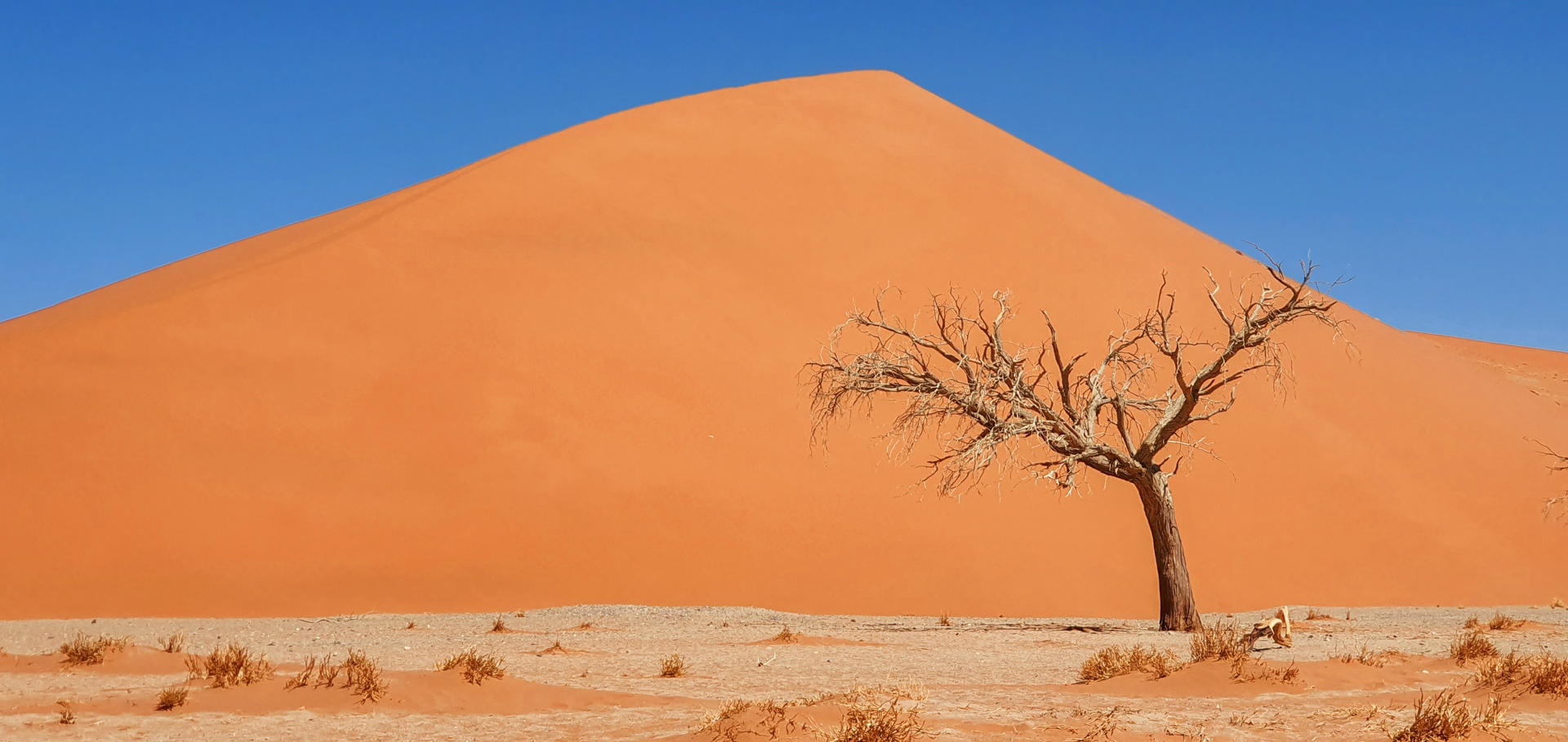 apricot-colored sand