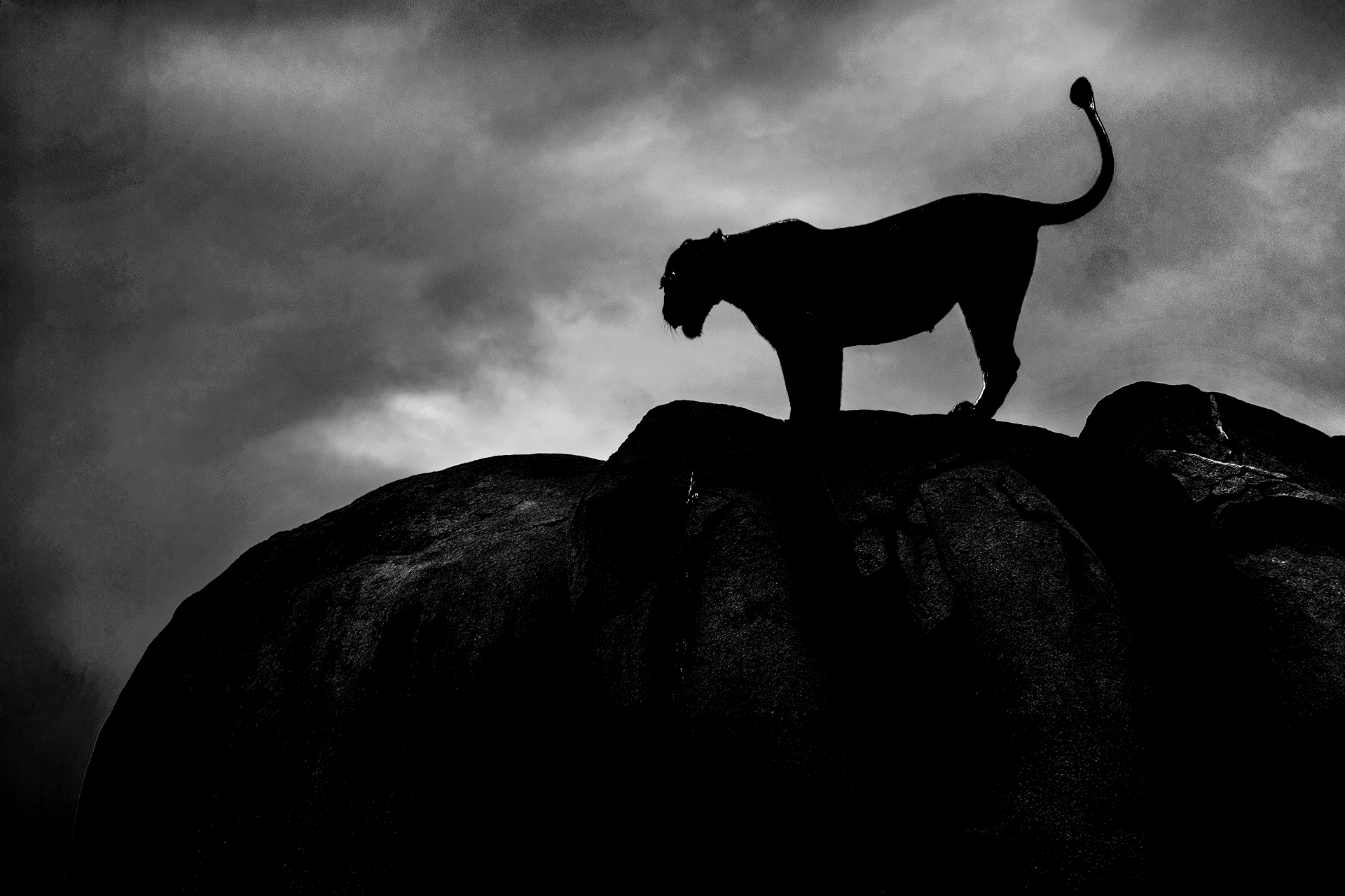 La rupe delle regine