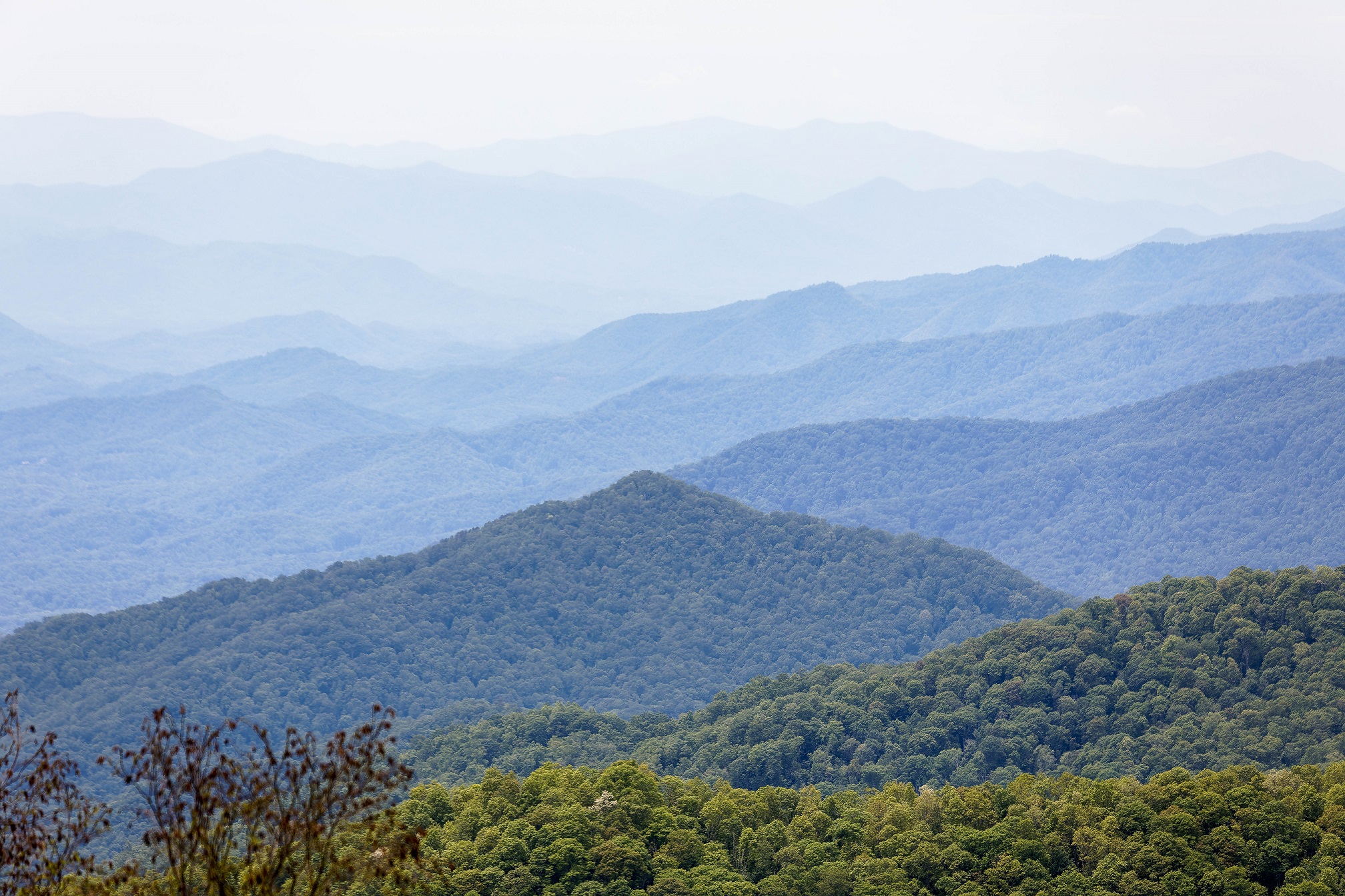 Blue Ridge Parkway. (May 24, 2025)  Canon 5D