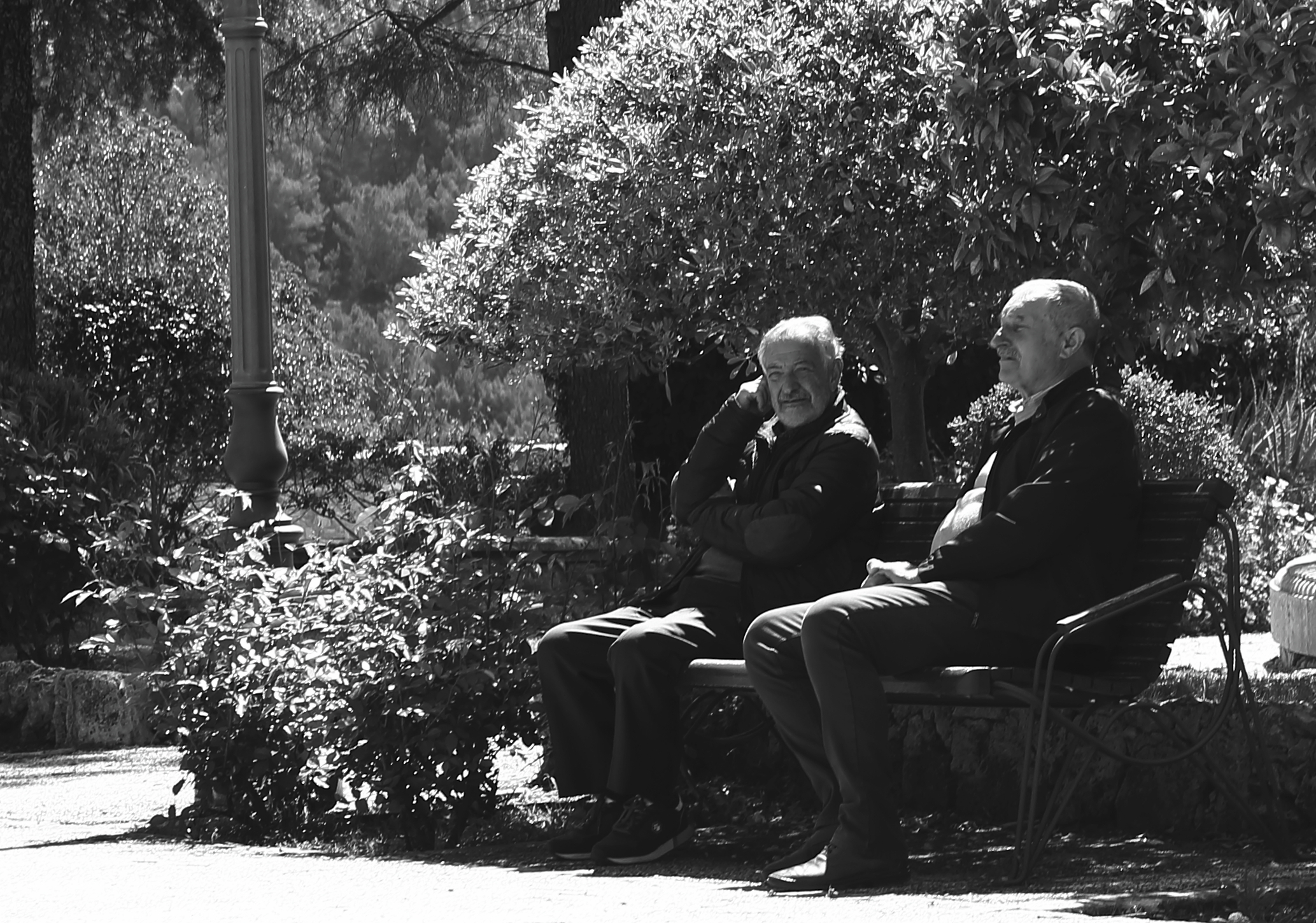 Lots of sun and a bench