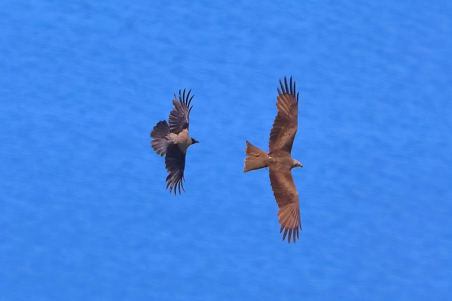In volo sul lago 29 maggio 2025 - 0021
