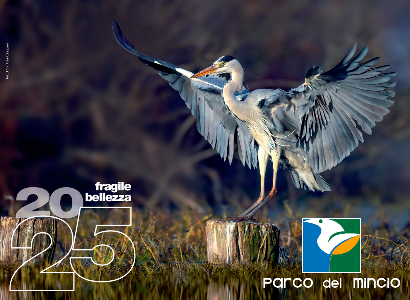 Fragile Bellezza - Calendario 2025 Parco del Mincio