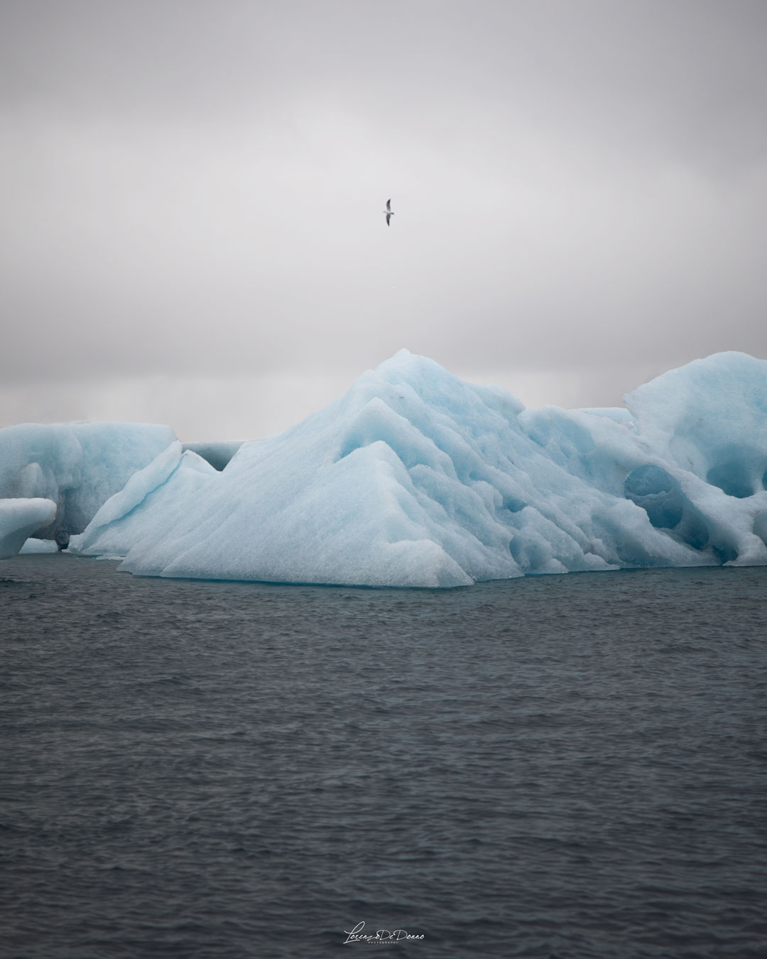 Ice-Land