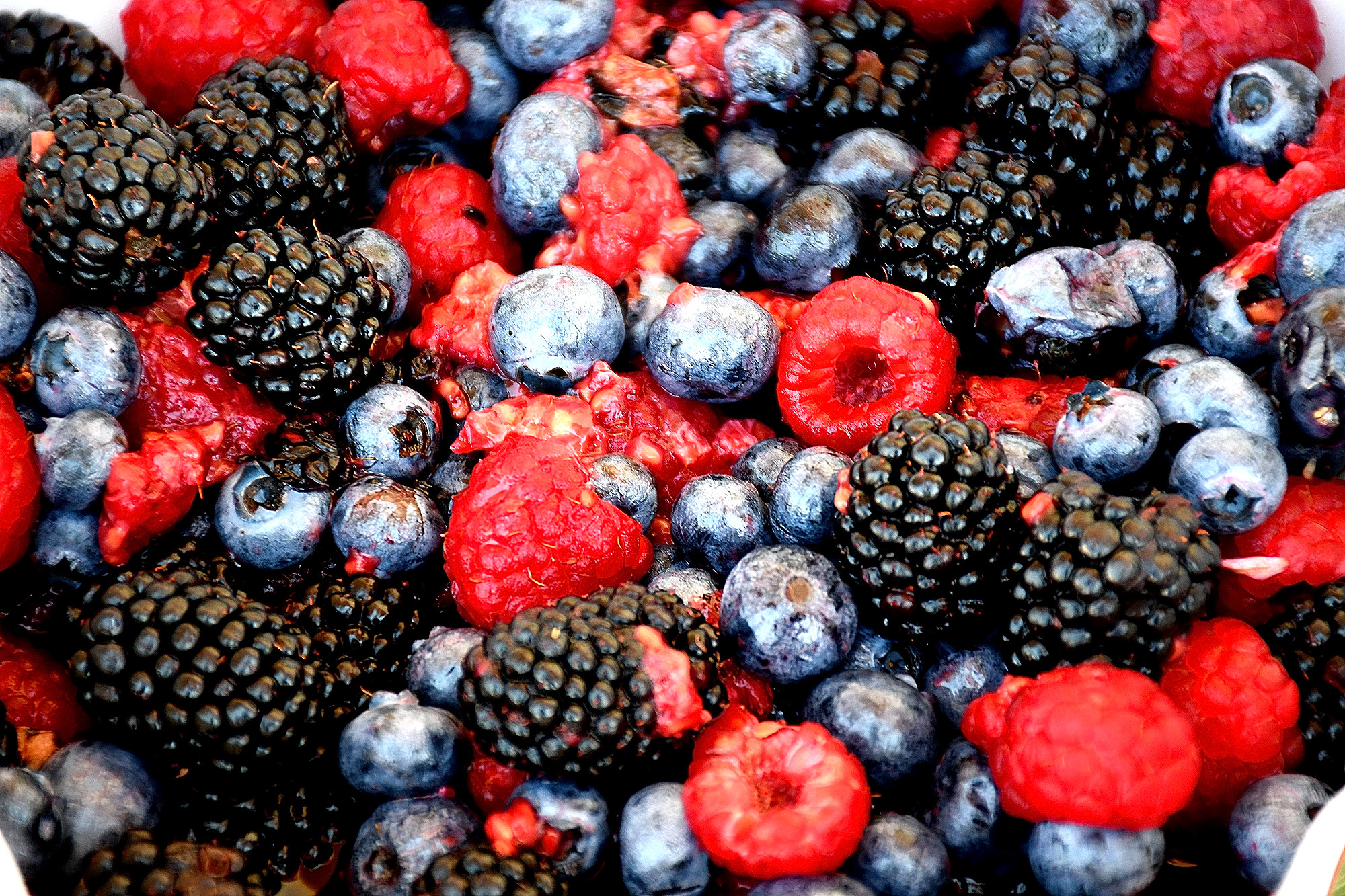 What fruits... when they were in the woods!!