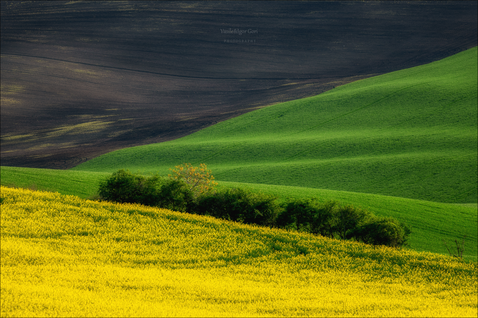 Geometries 4