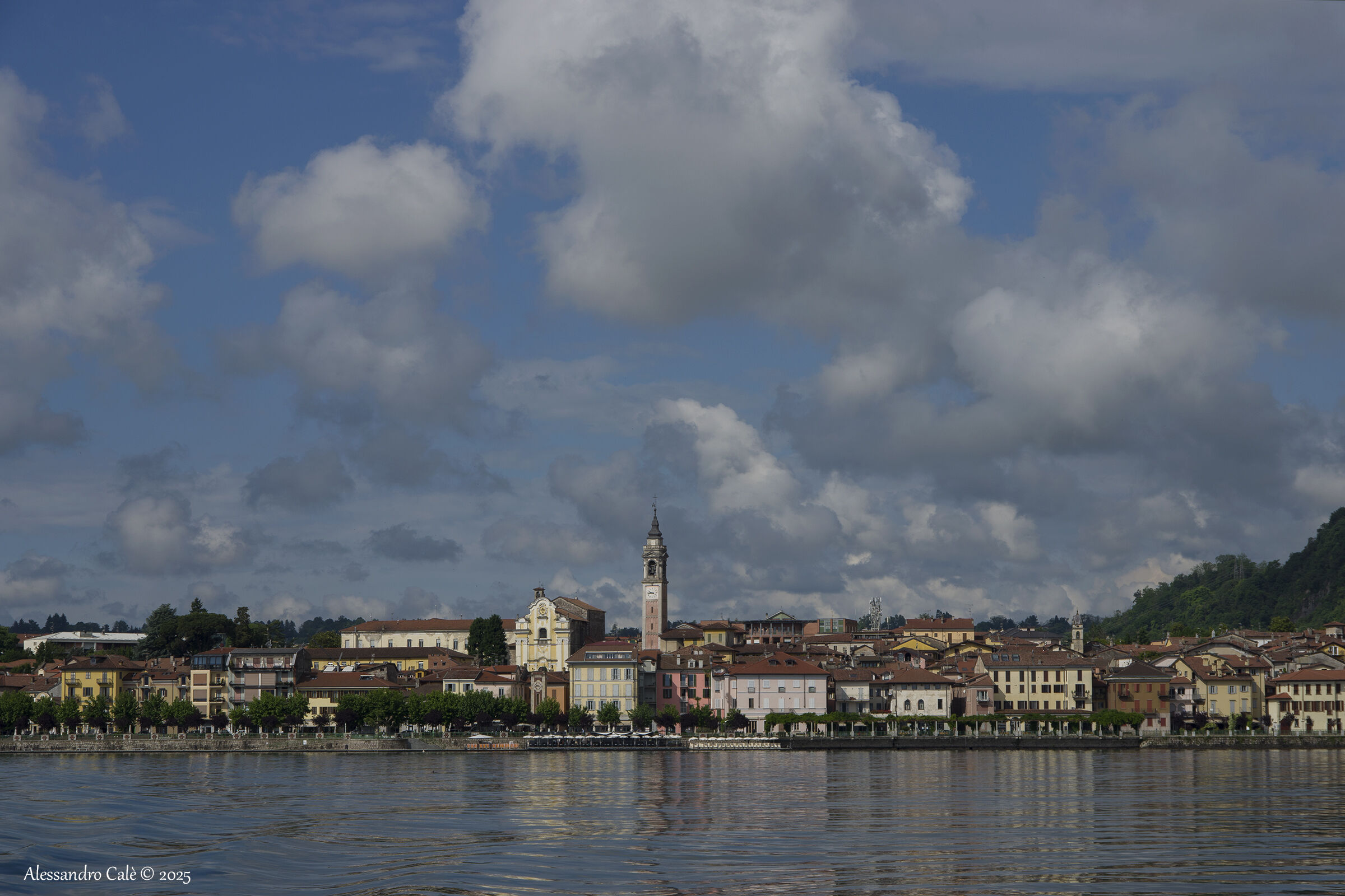 Arona 8329