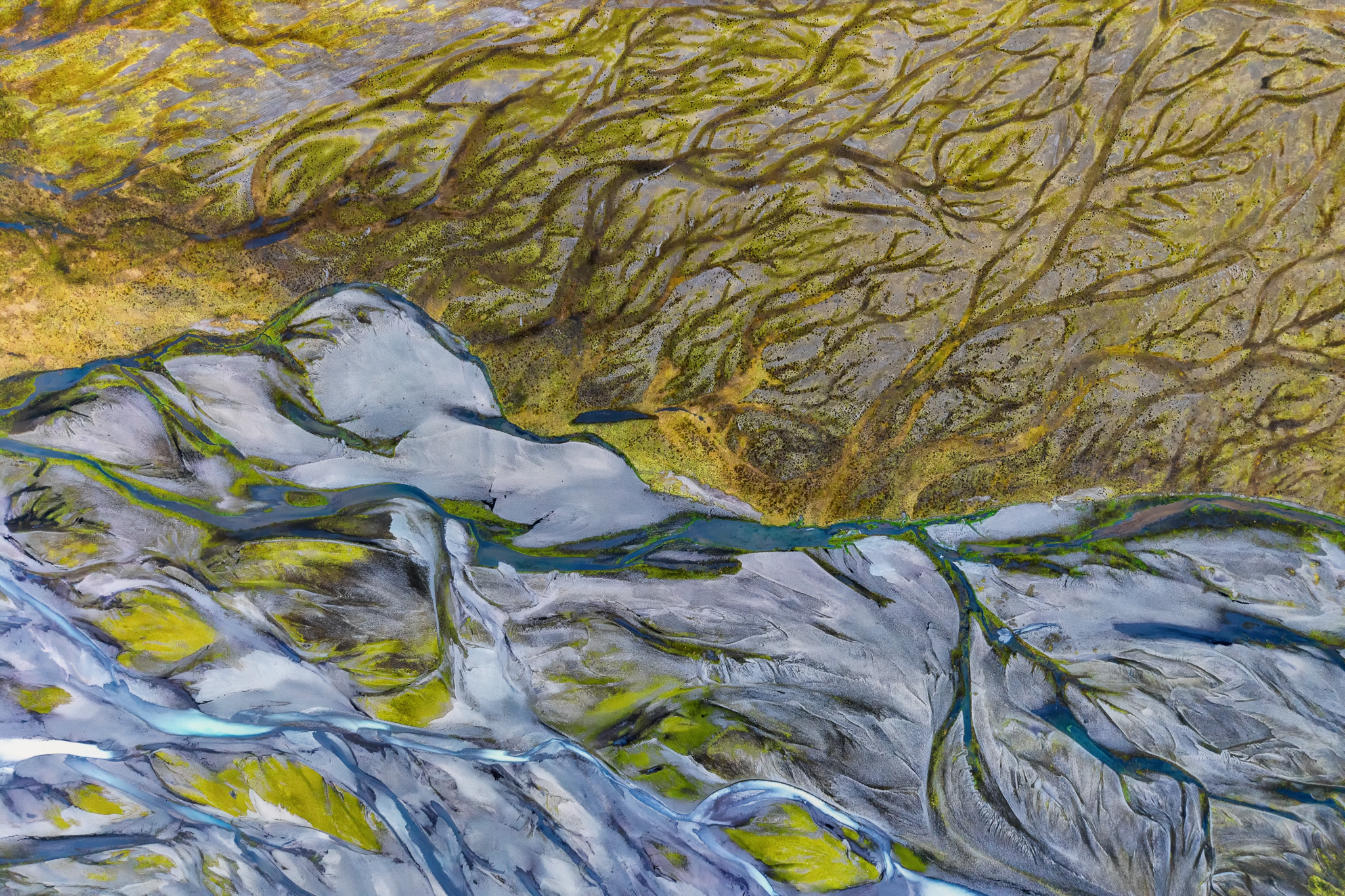 Texture della natura