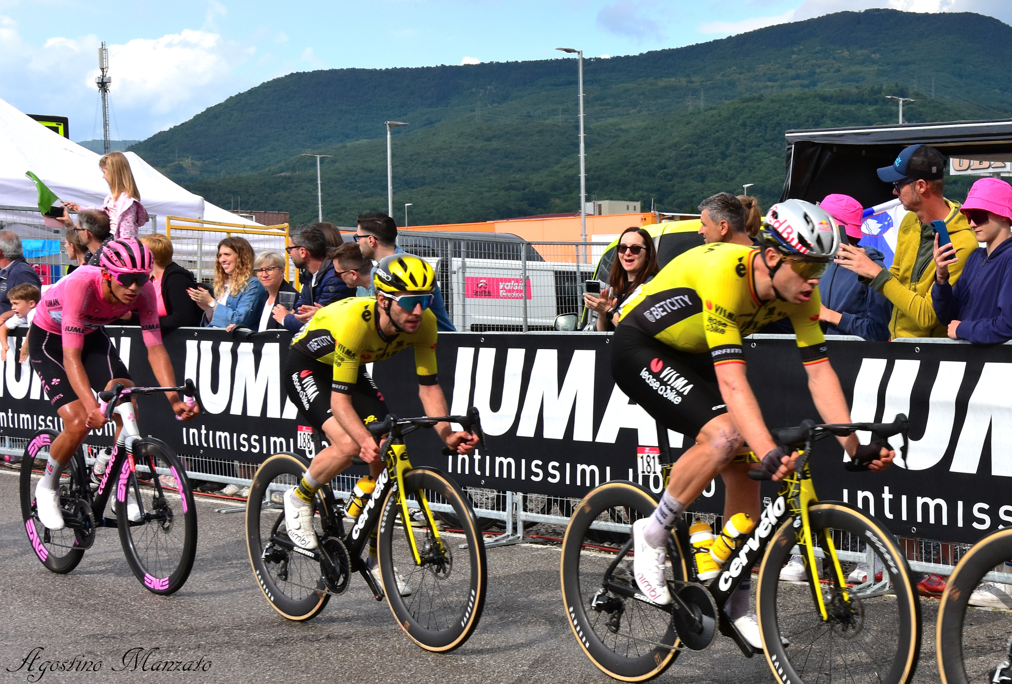 When Del Toro didn't imagine what Yates could do to him