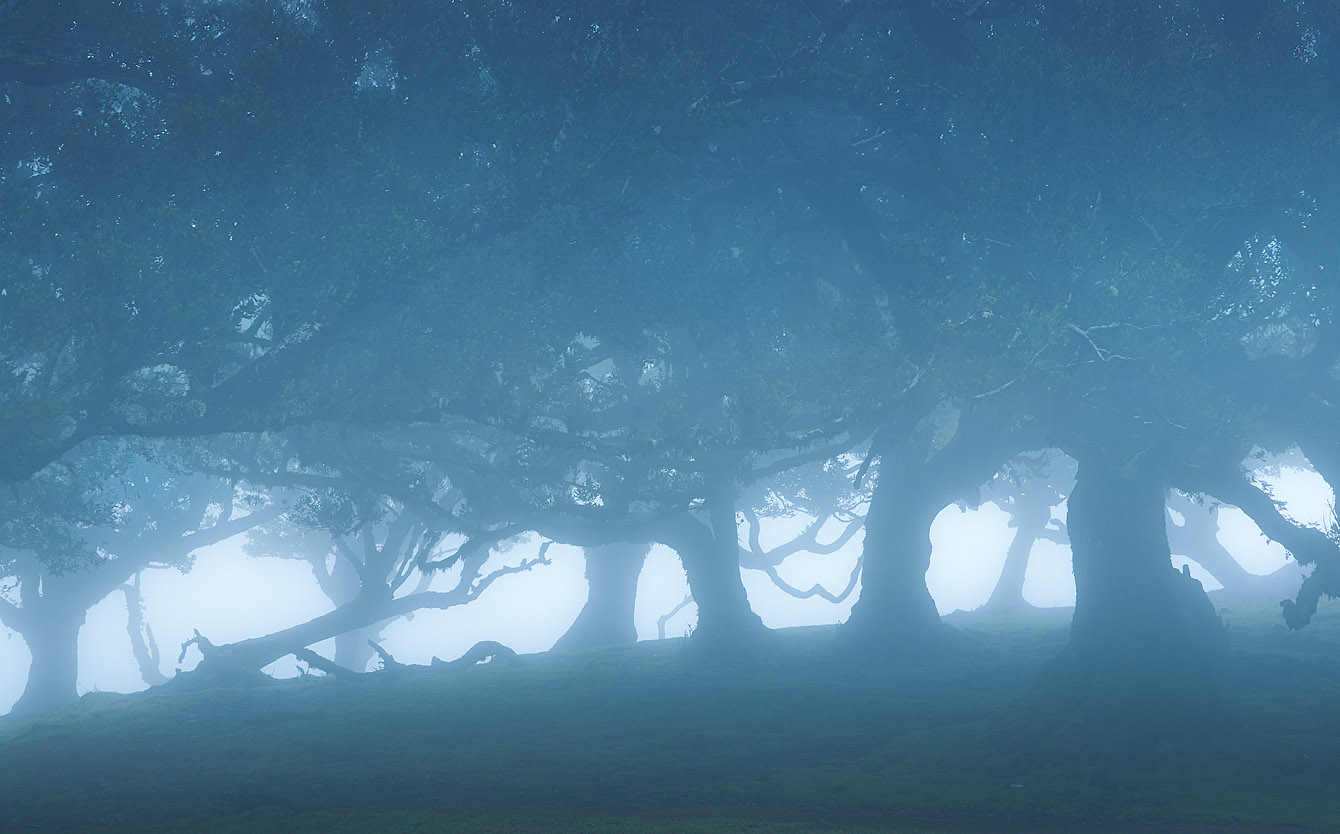 After the woods, the light