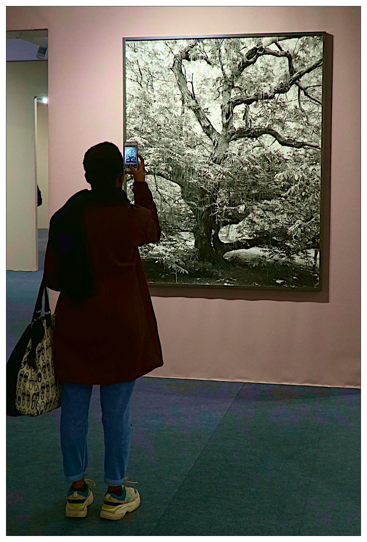 ... 'virtual' appropriation ...