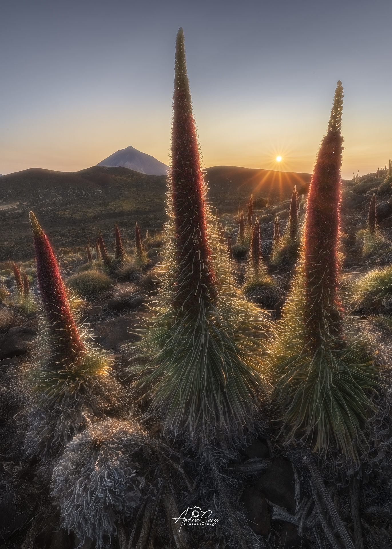Sunset at the Mirador de Tajinaste