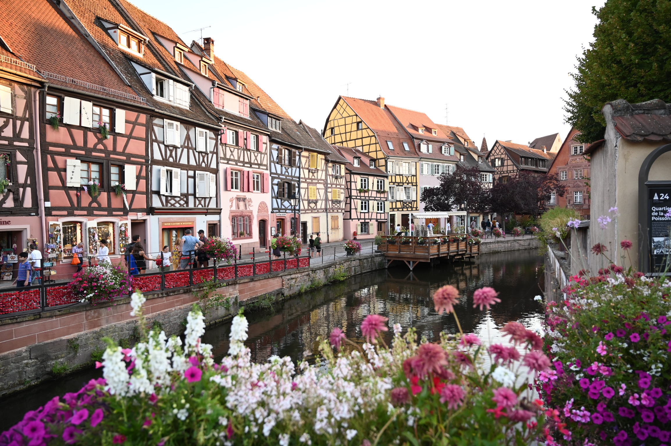Colmar