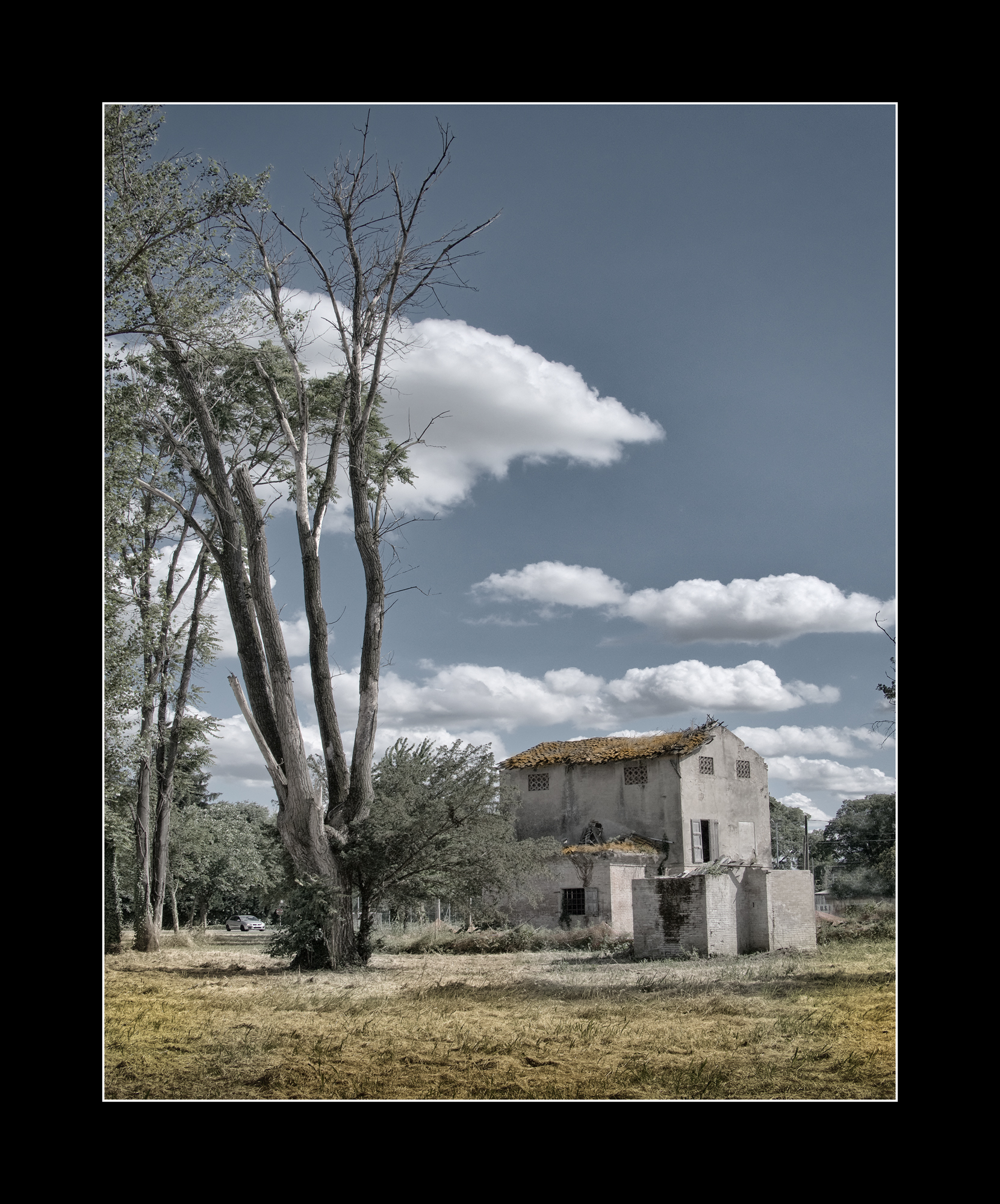 Abandonment 3