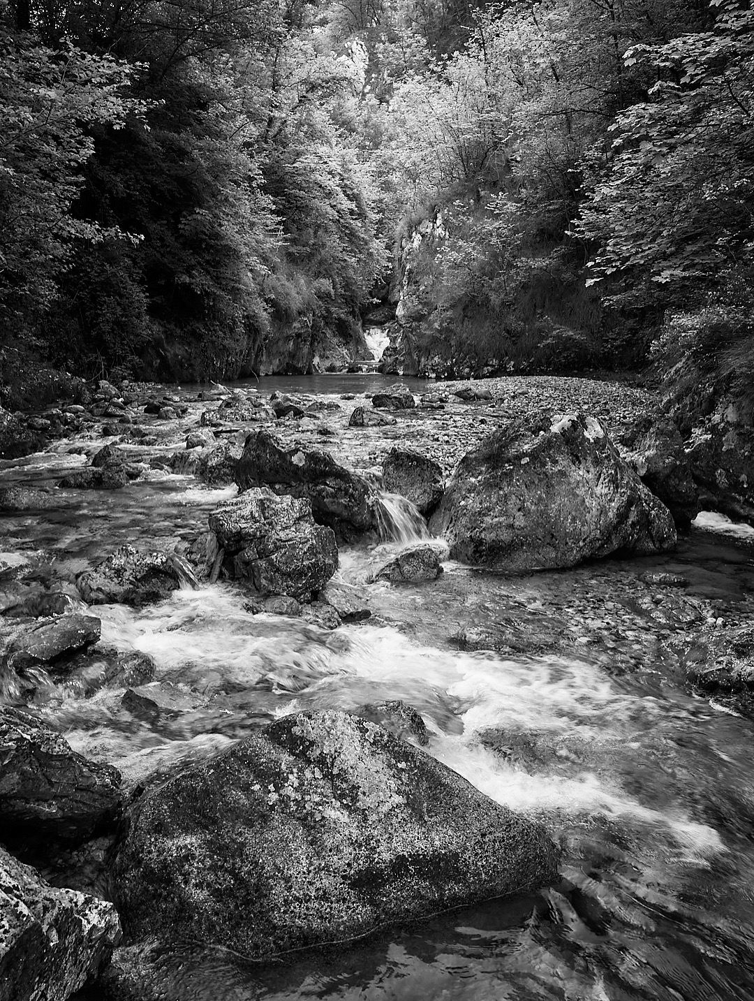 Pozze di Erve at dawn