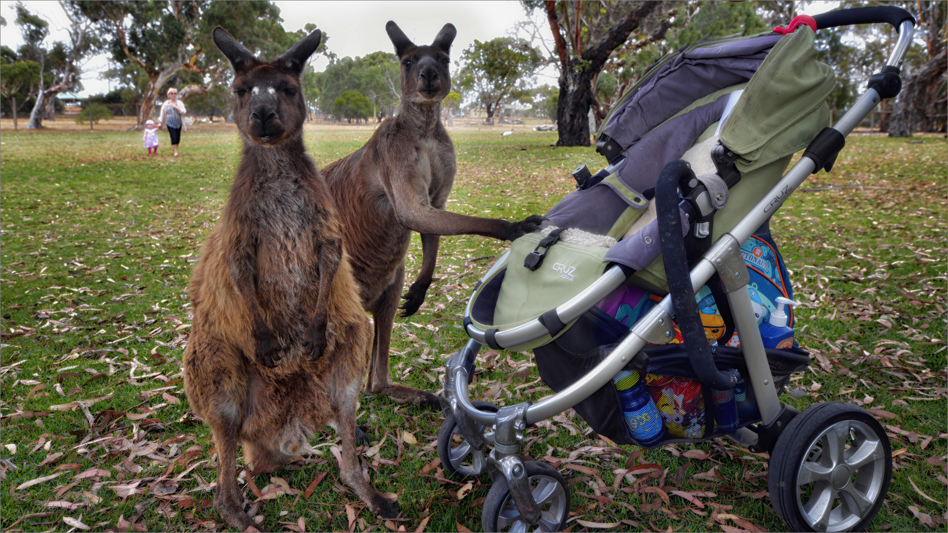 C'era una volta in Australia ...