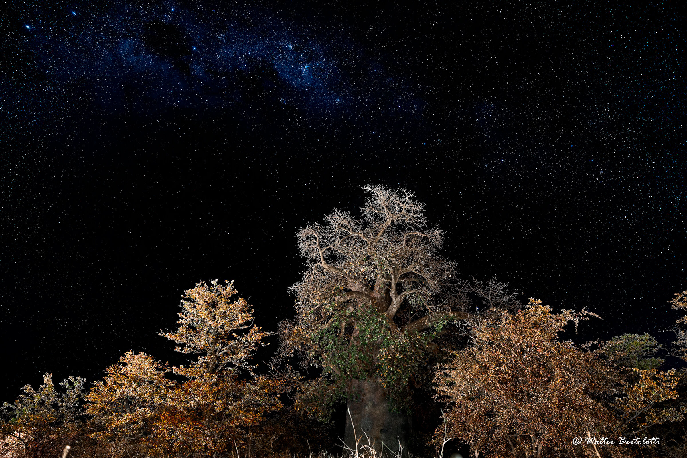 il cielo del kalahari