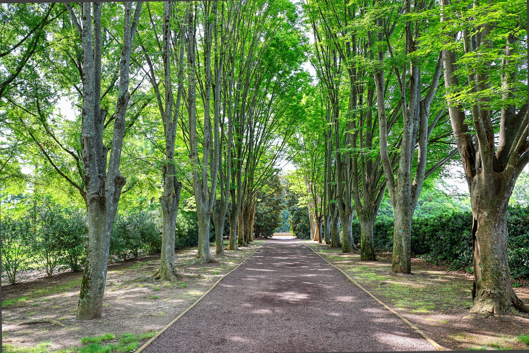Milliken Park in June 6, 2025 Canon R8 and 28mm f2.8