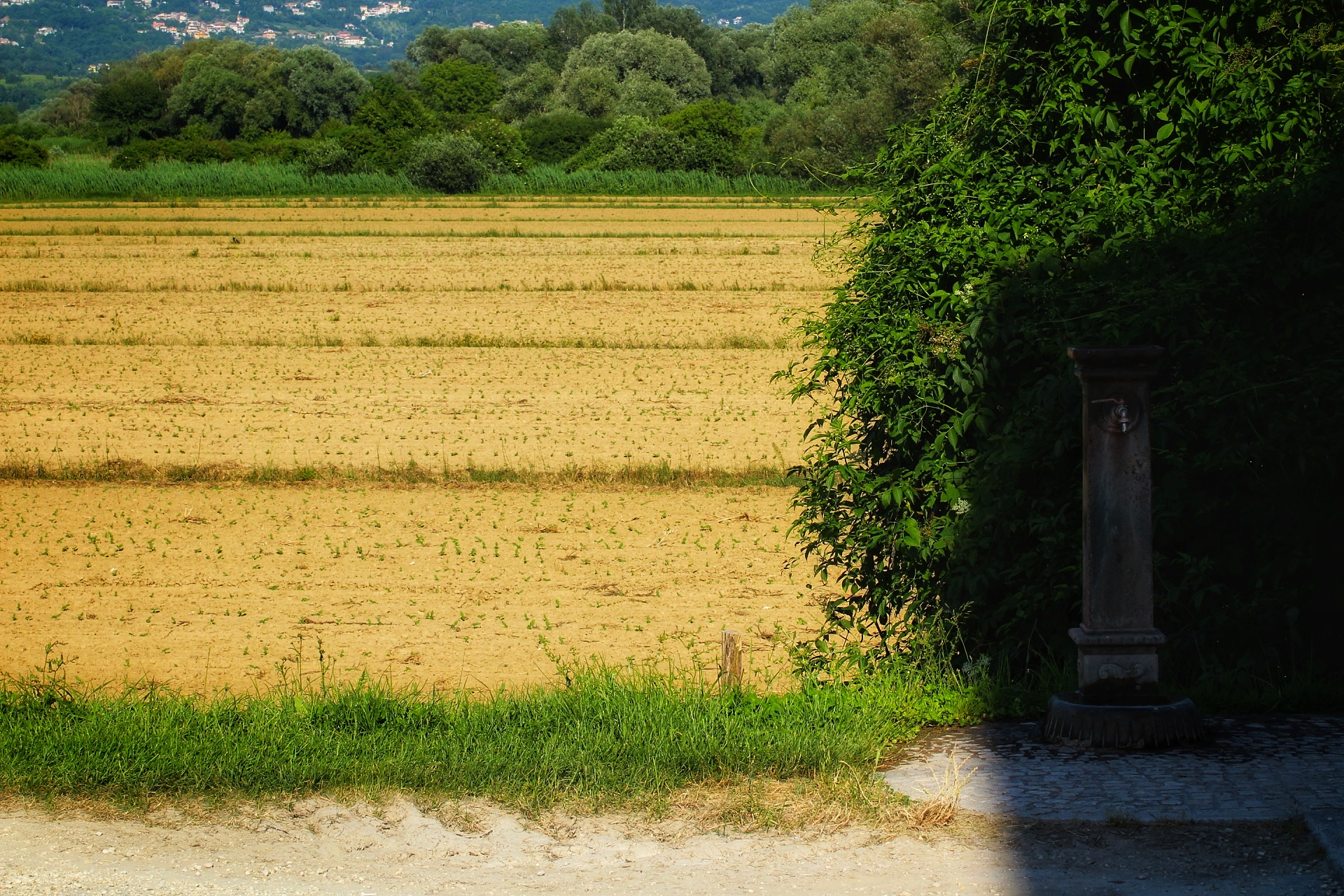 Senza Titolo