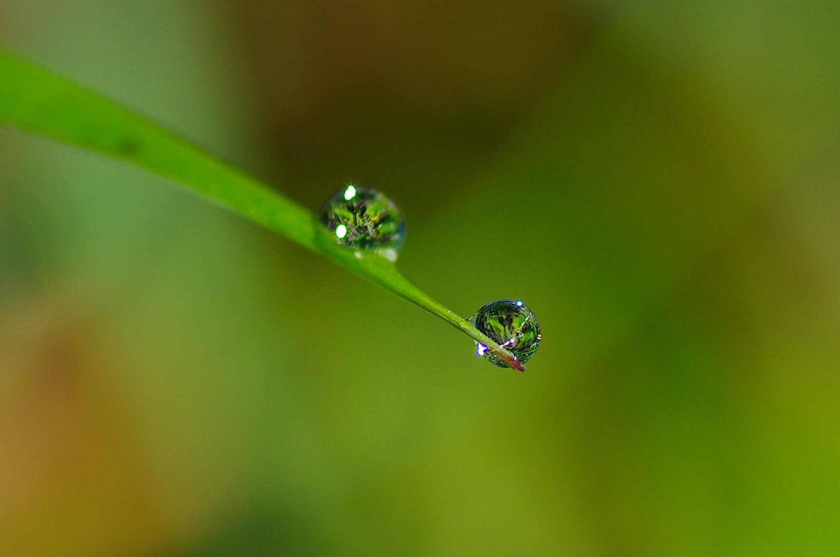 two natural lenses