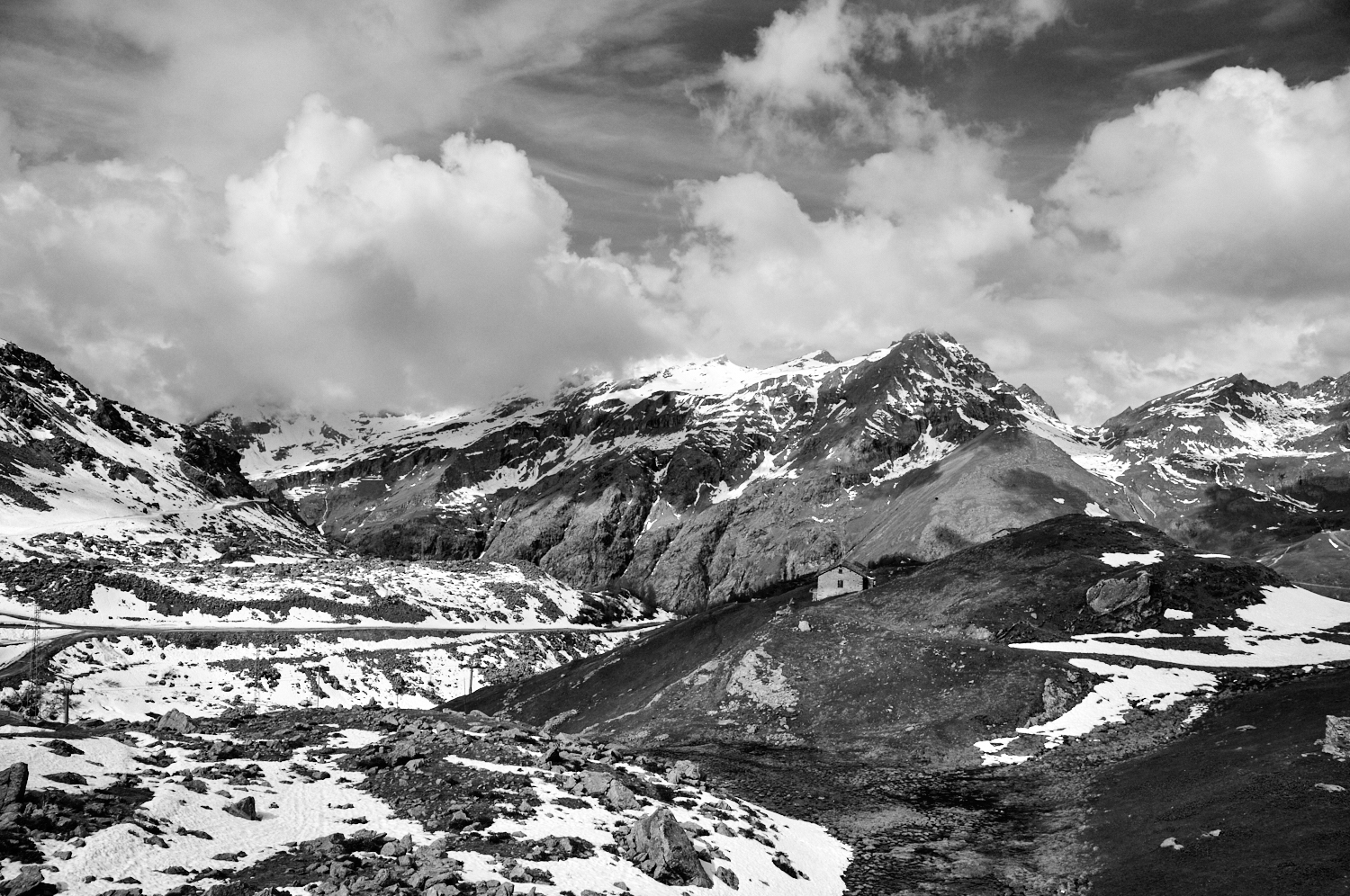 Alpine pastures - Gressoney (AO)