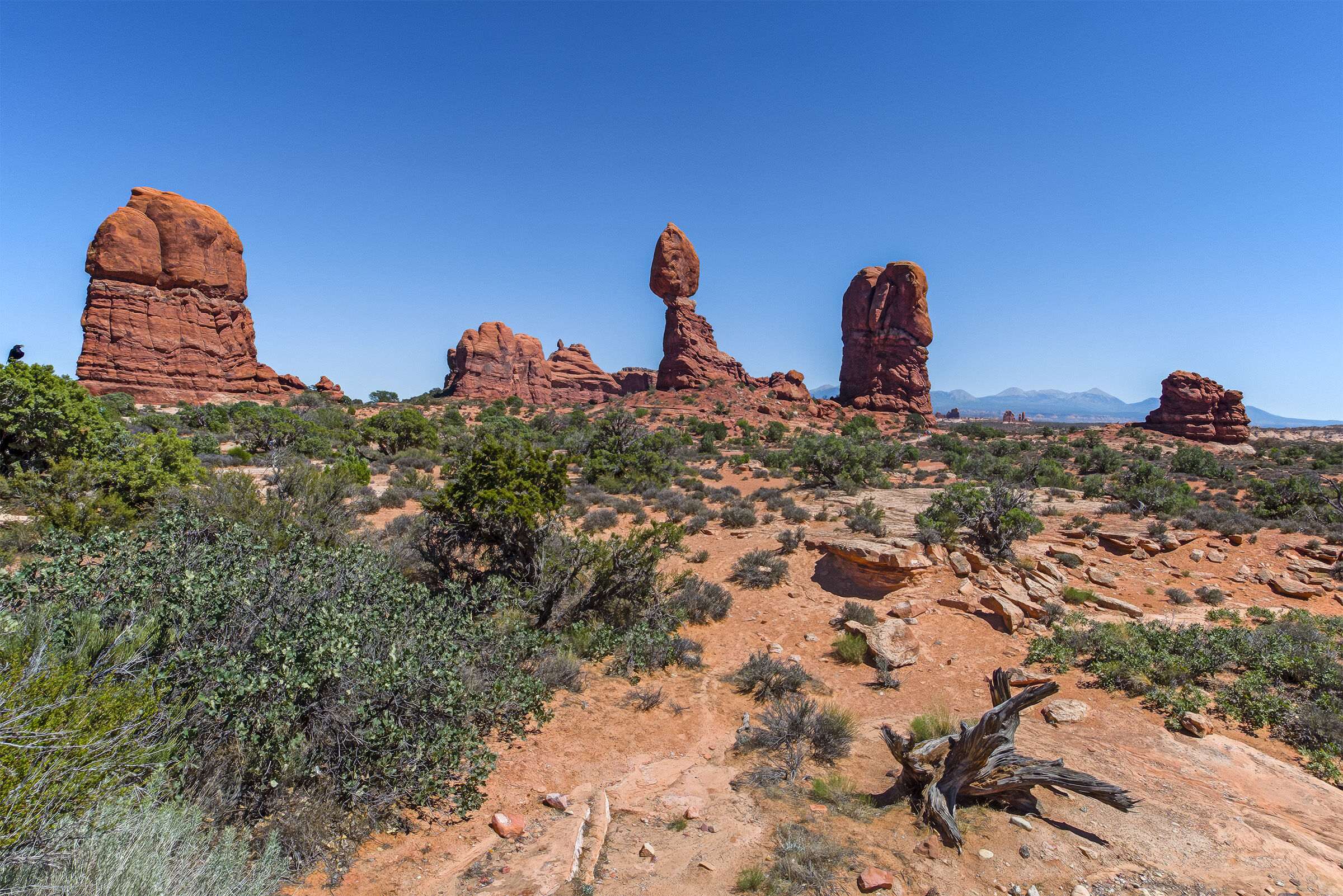 Arches National Park