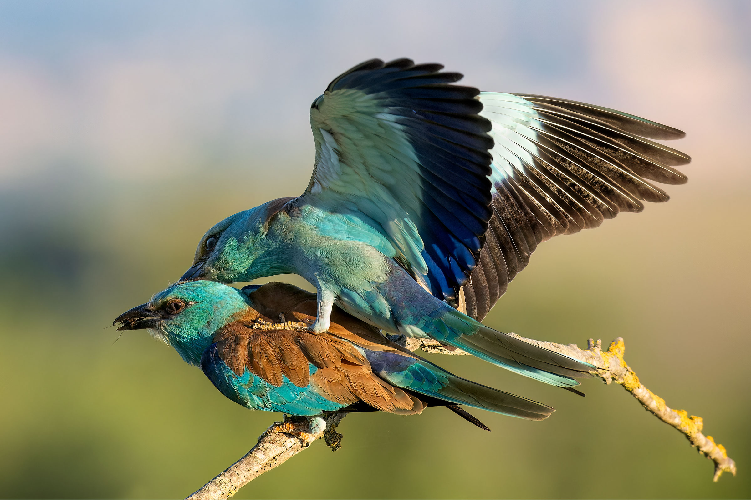 With your eyes closed ....