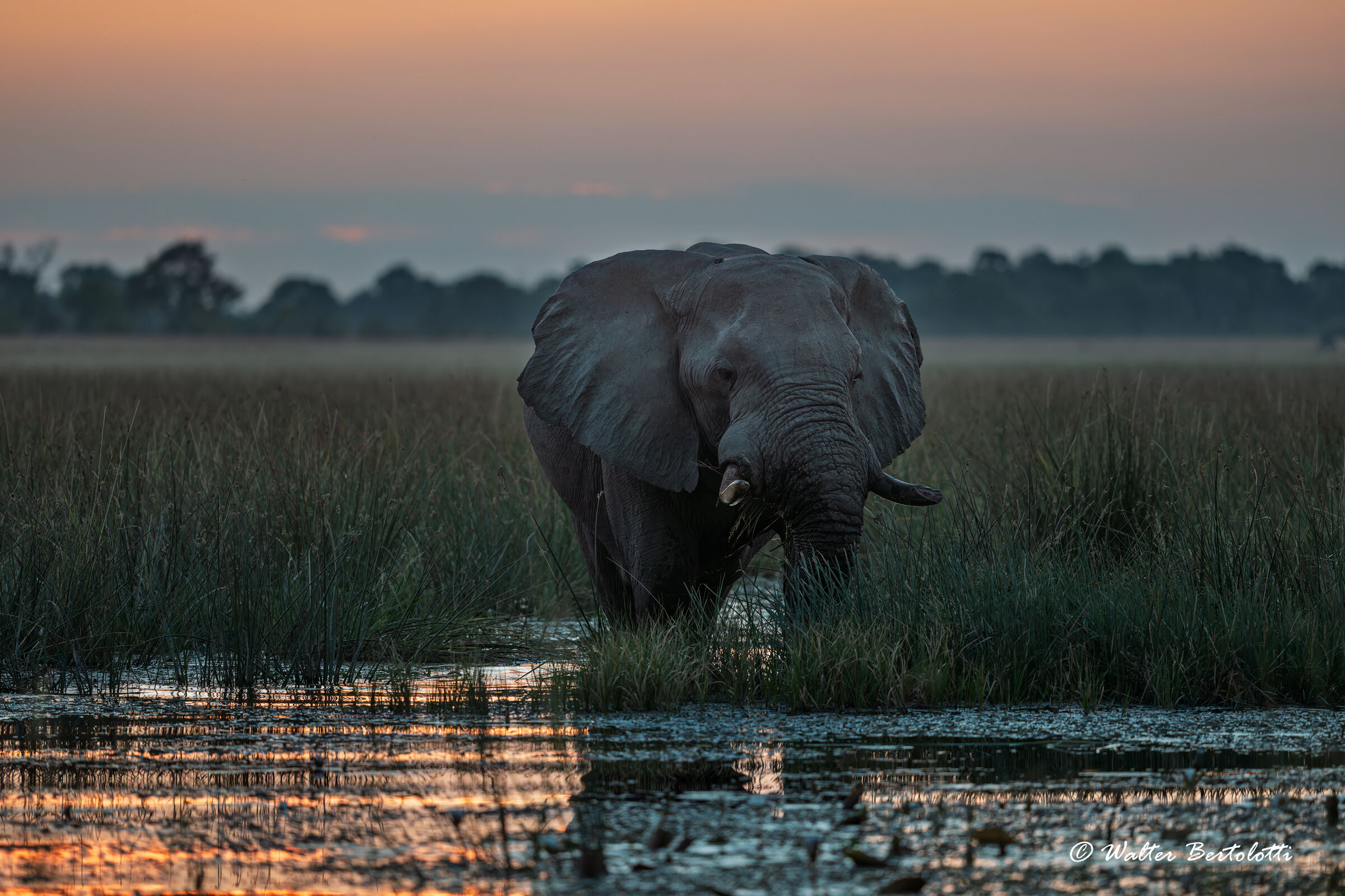 i tramonti nel delta