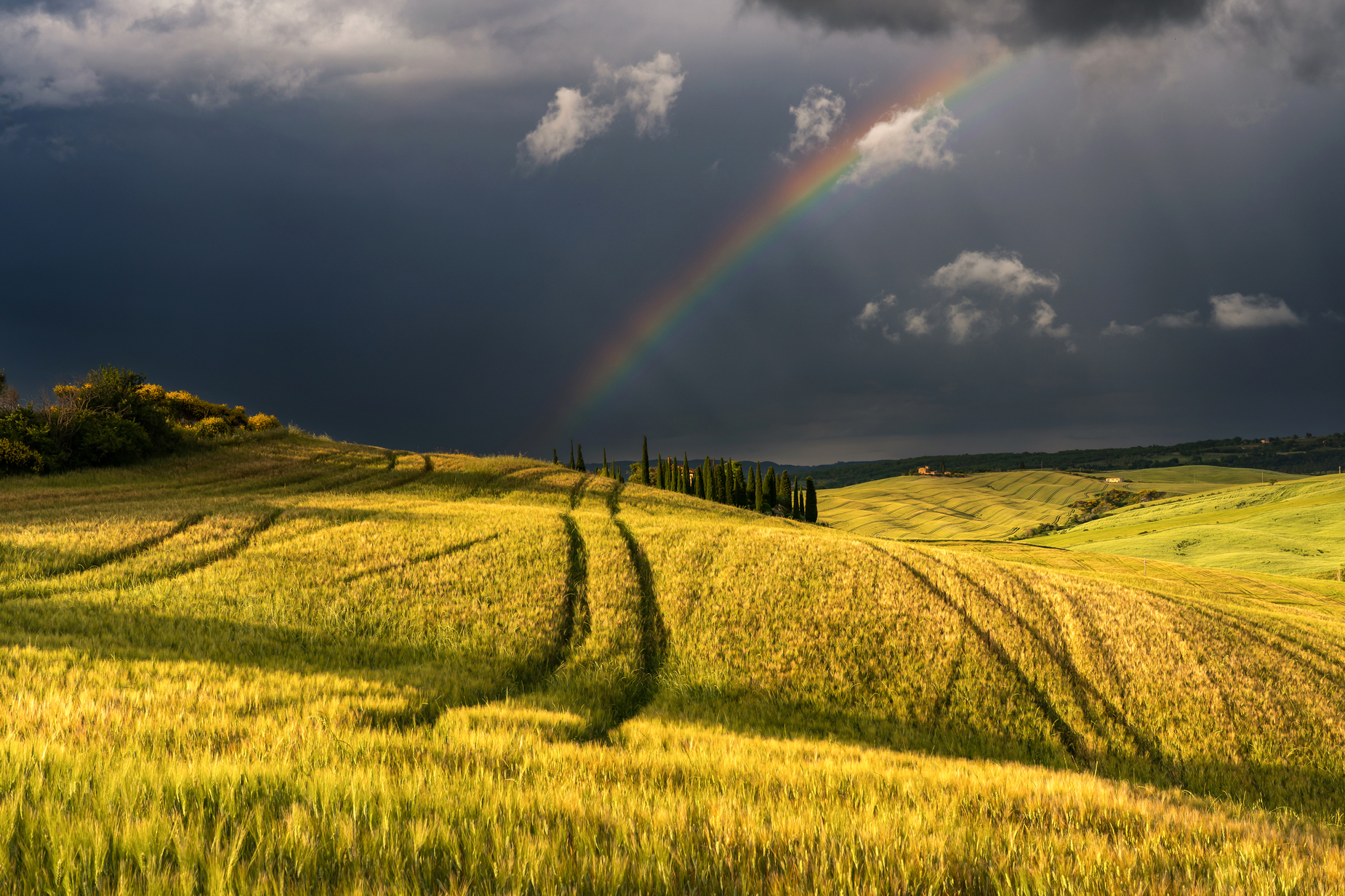Dalle parti di Pienza e San Quirico D'Orcia