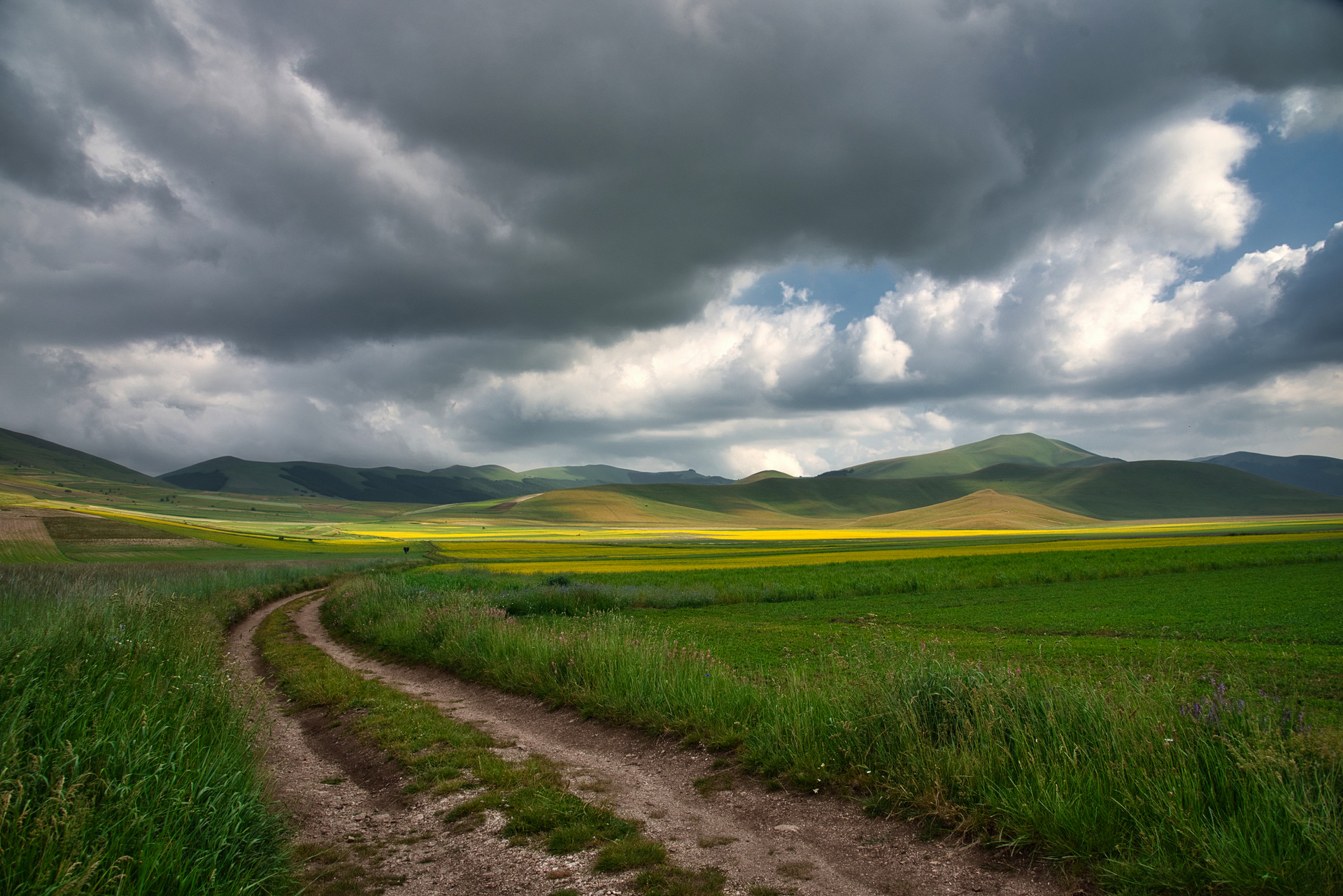 Sibillini - Pian Grande a Castelluccio di Norcia (PG)