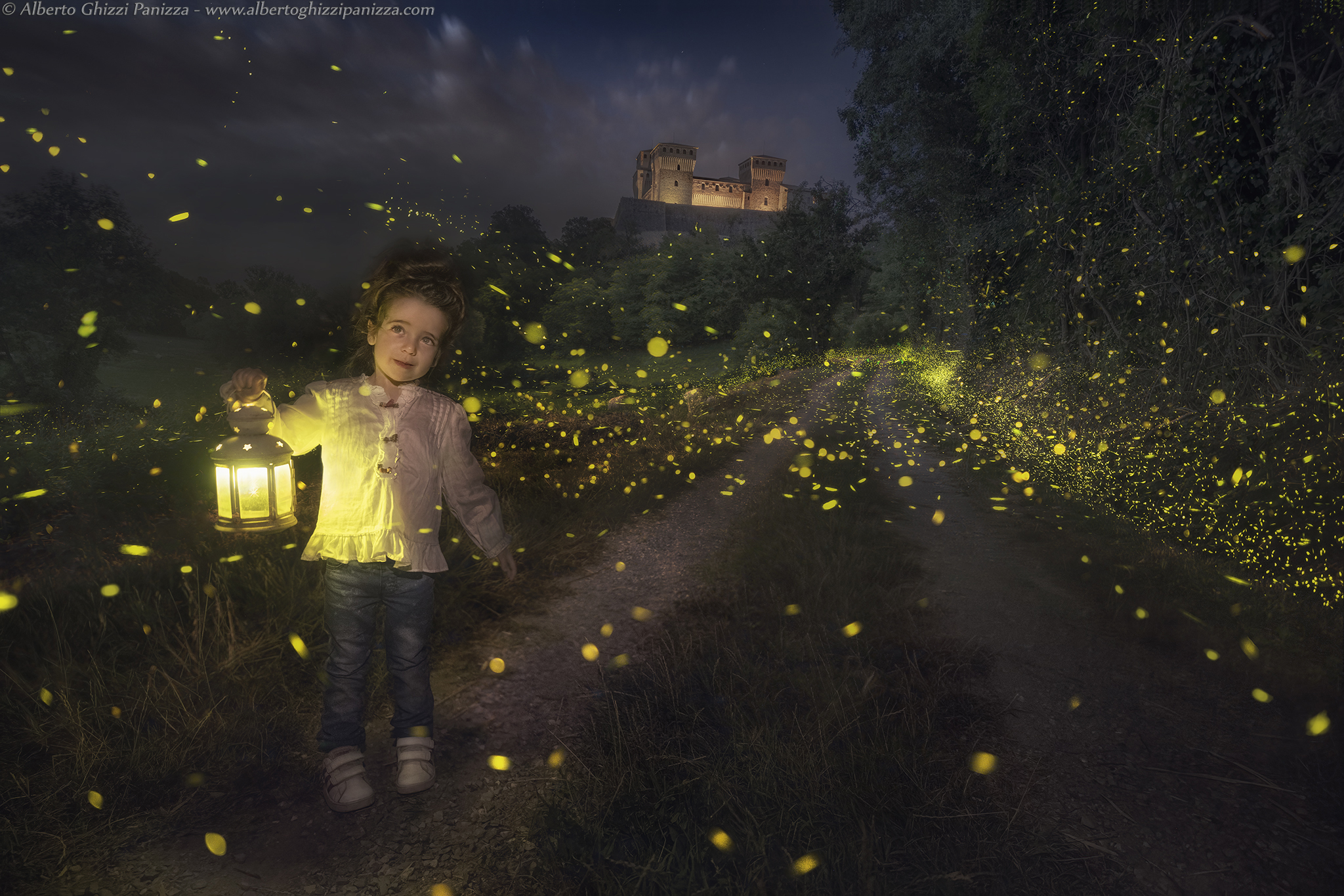 Aurora among the fireflies 2023