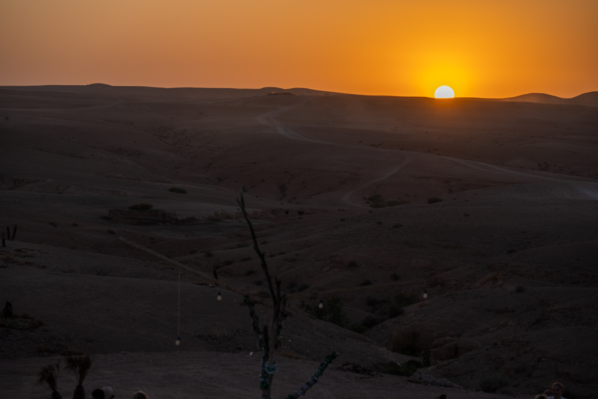 Sunset in the Desert
