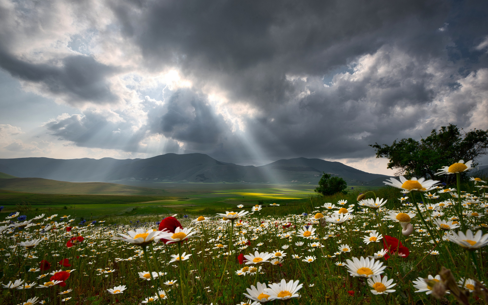 Sibillini - Luce sul Pian Grande - Castelluccio Norcia