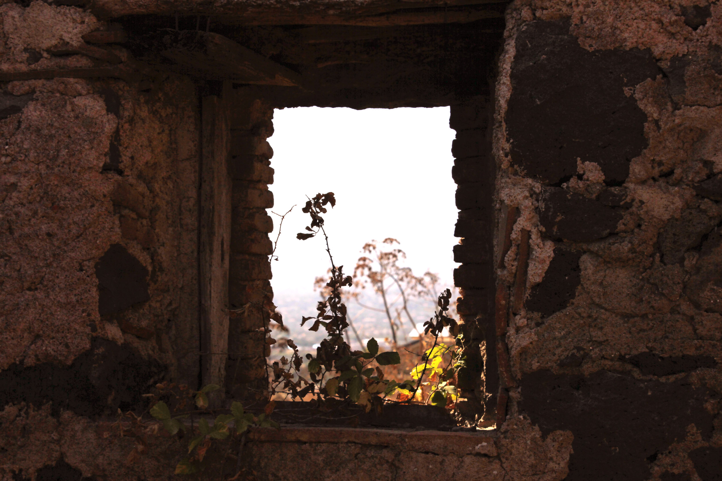 La finestra sul mondo