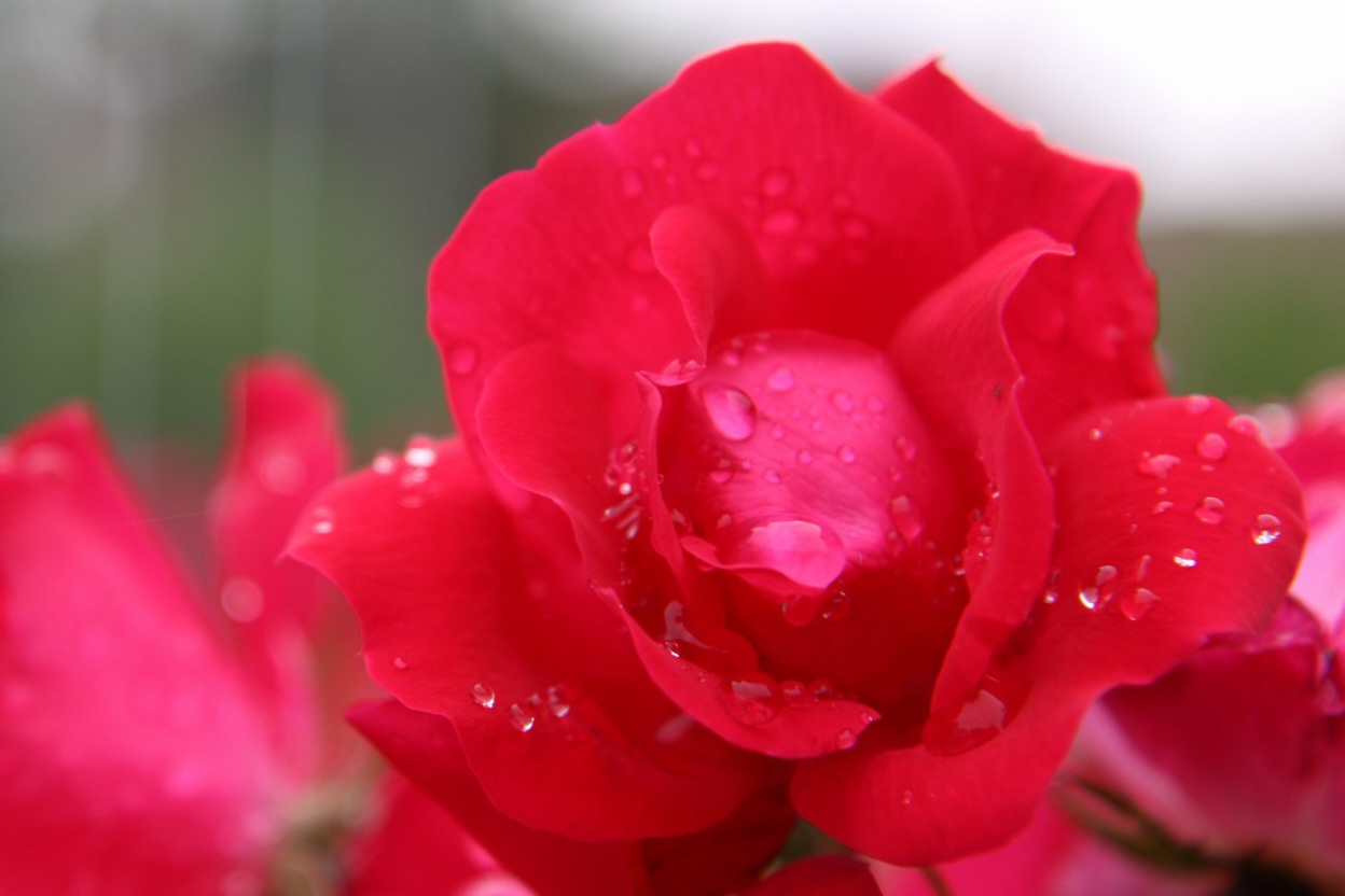 The rain is not only boring but also joy in our eyes