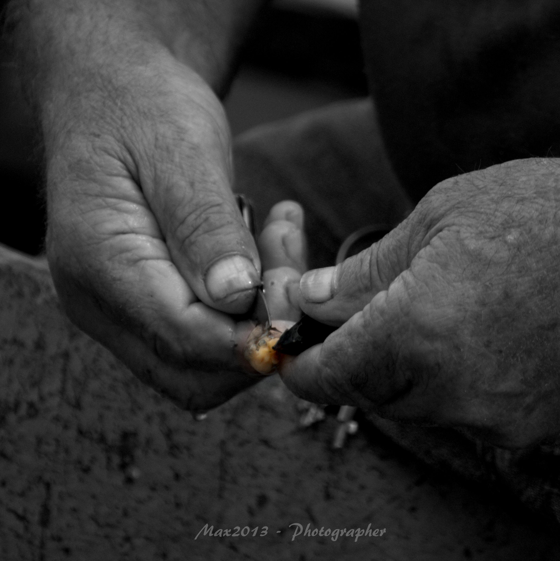 Le Cozze di Taranto - Il rito mattutino dei pescatori