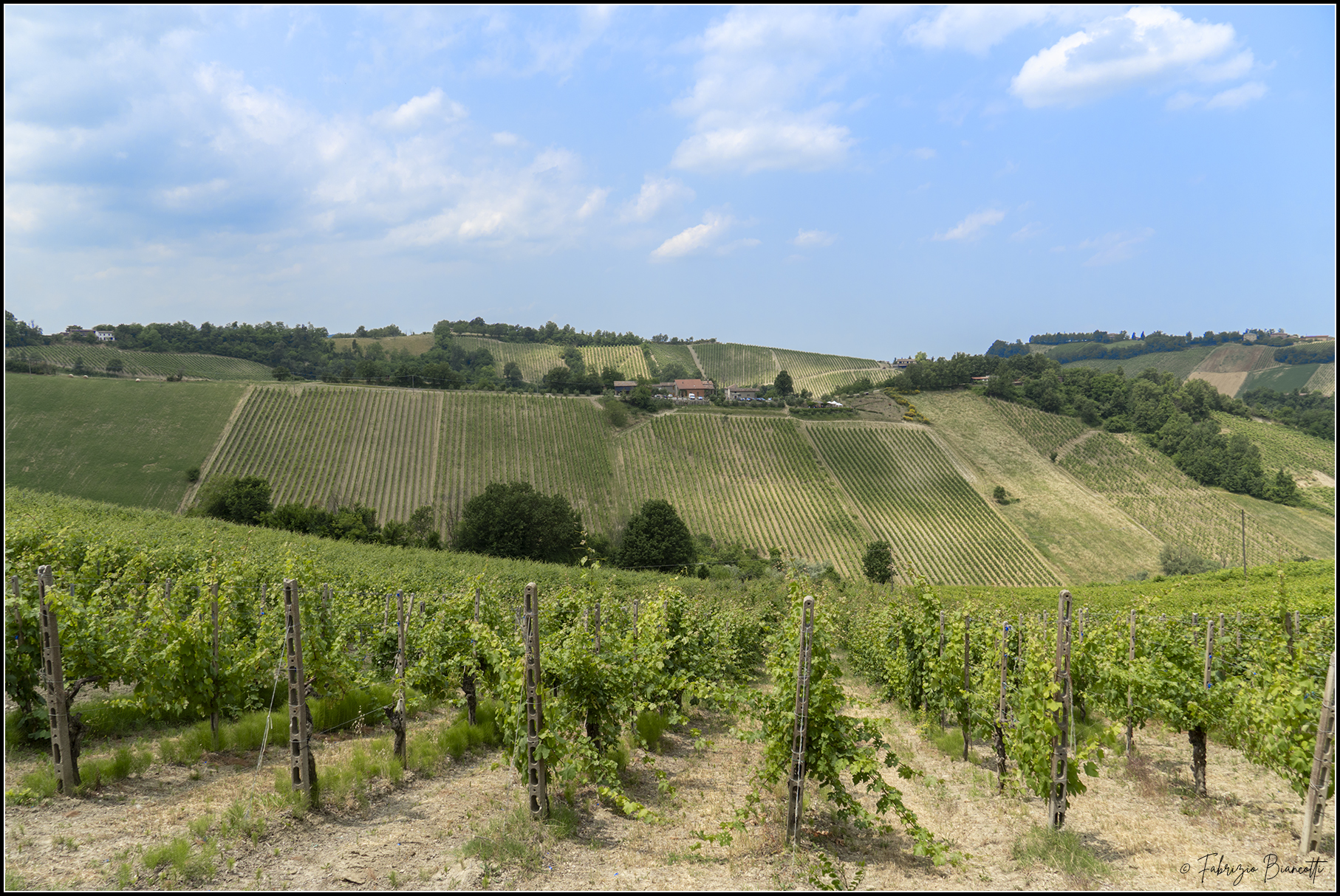 Vigneti Piacentini