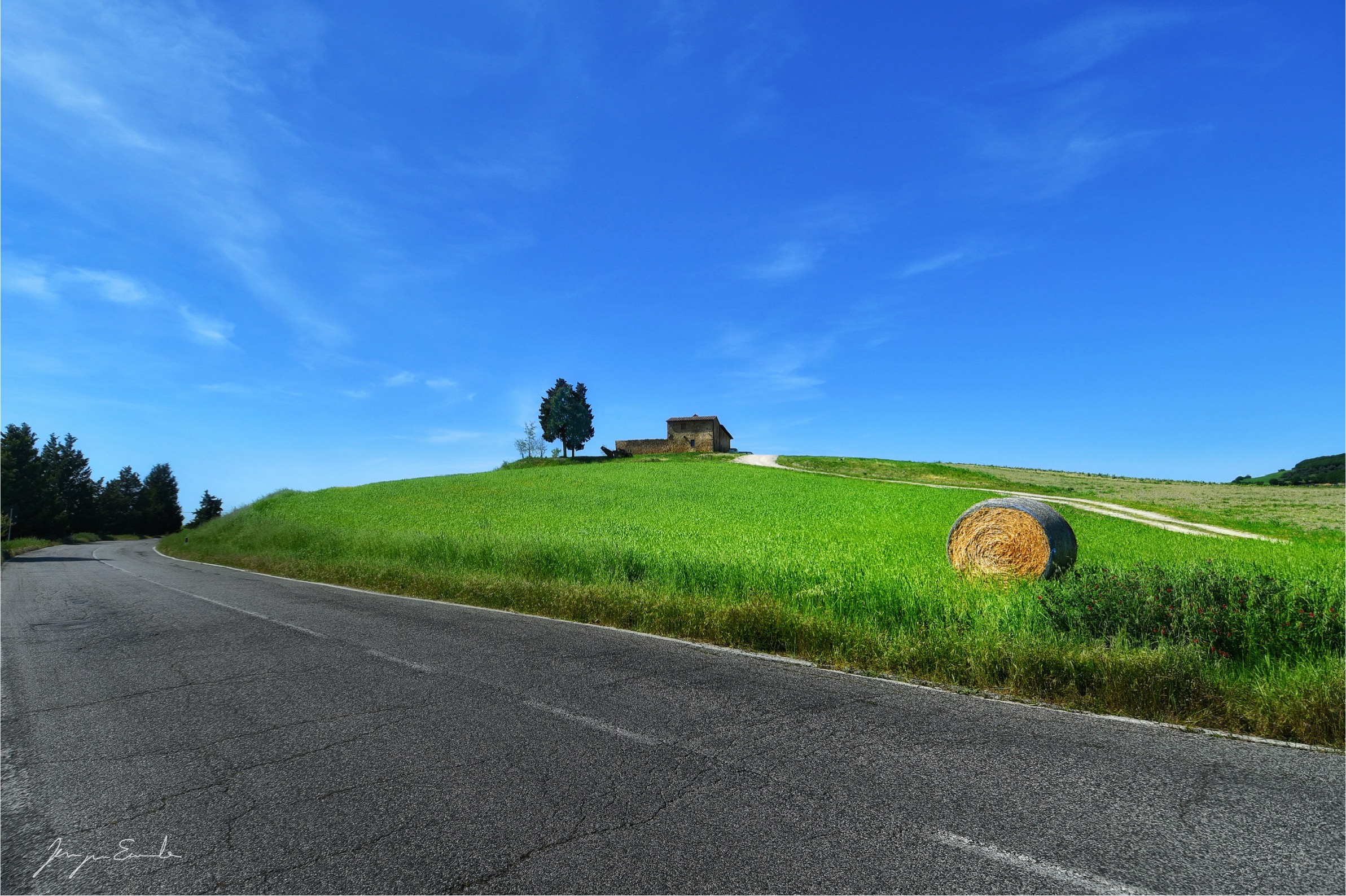 Blue, green and a road